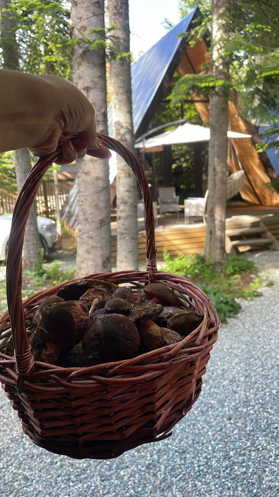 Фото Архыз-Глэмп