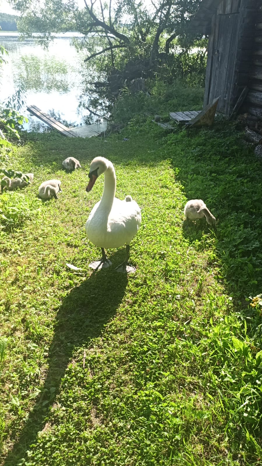 Фото Тихий уголок