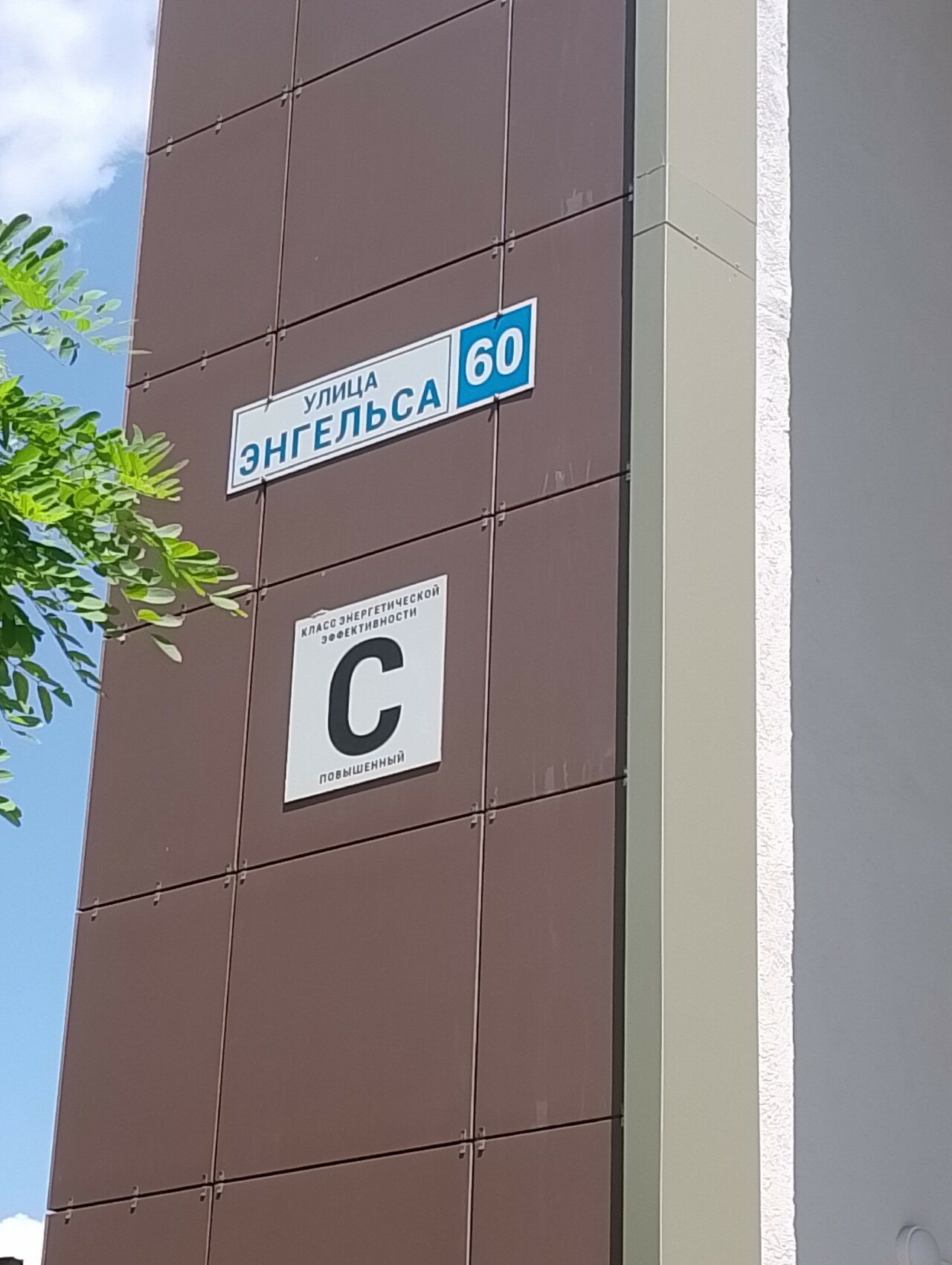 Фото Марсель