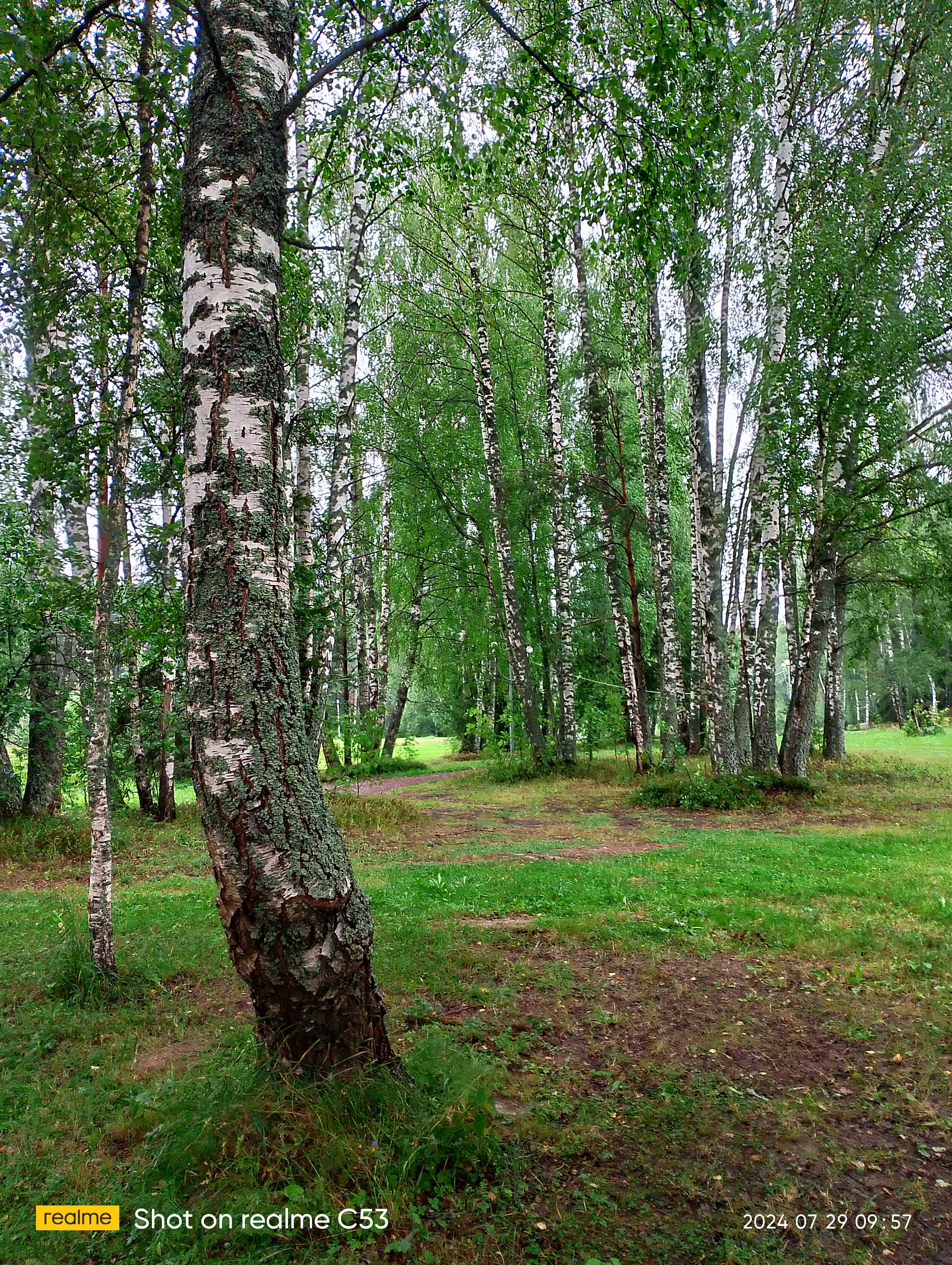 Фото Эко Парк