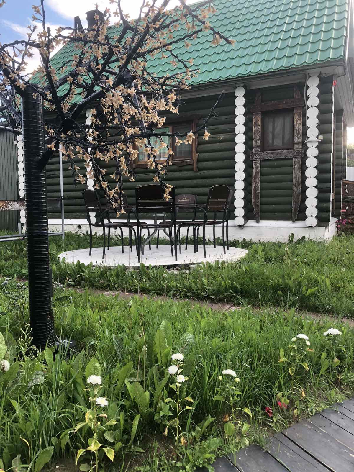 Фото На Сайме