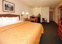 Фото Comfort Inn & Suites Tualatin - Lake Oswego South