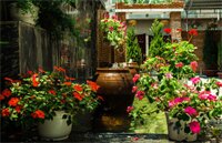 Фото Pham Gia Boutique Villa