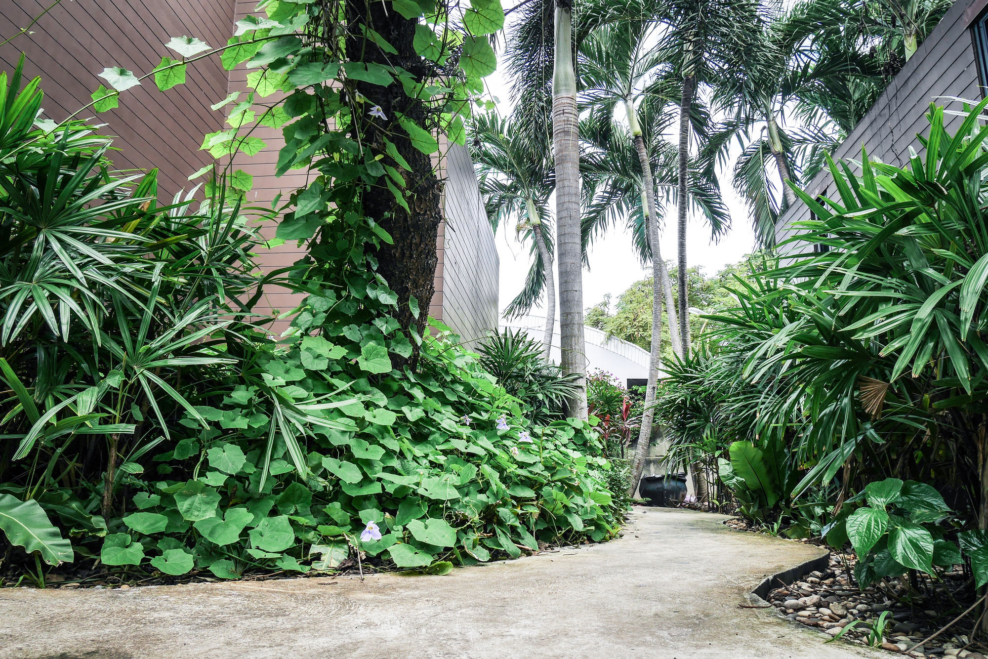 Фото Villa Navin 