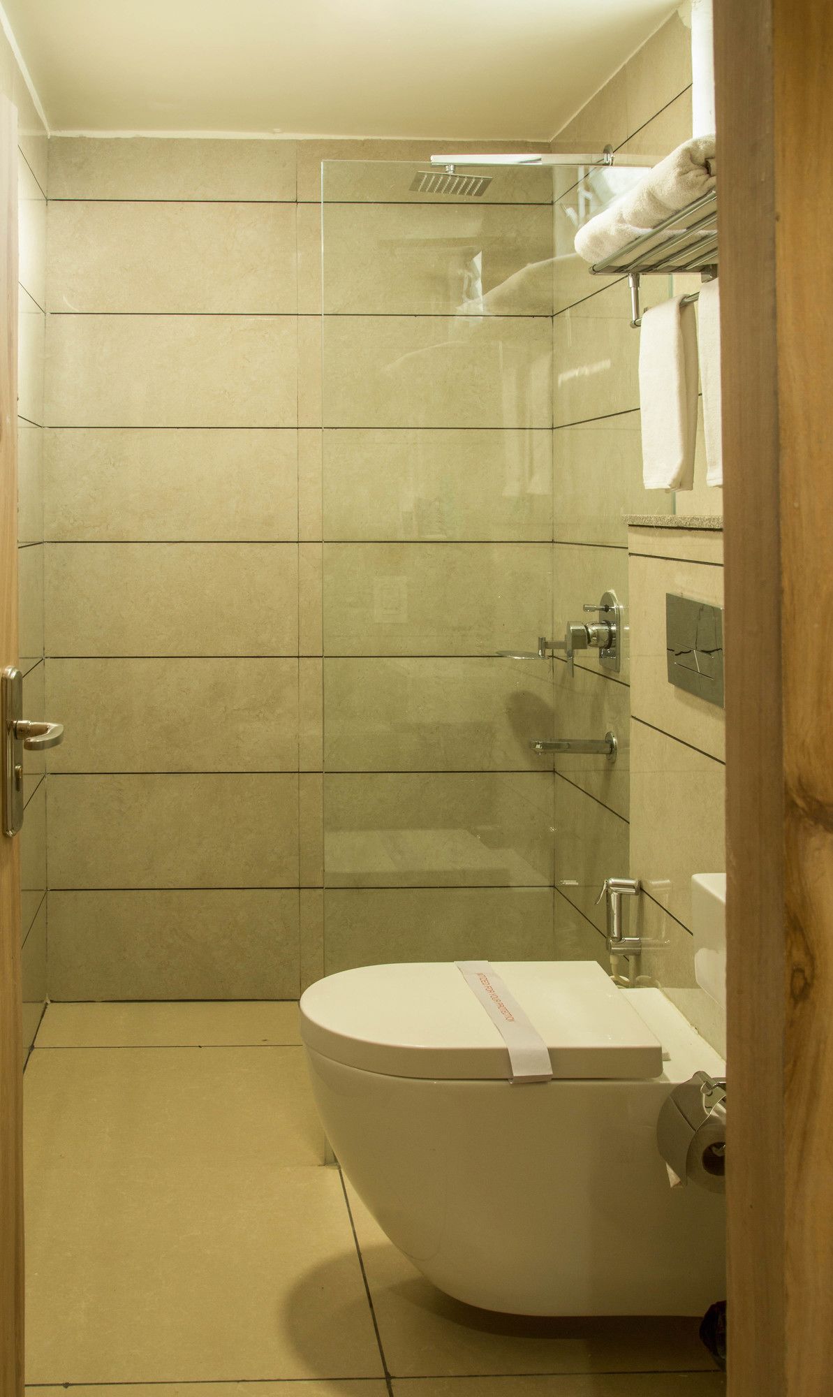 Фото Hotel Reva Regency