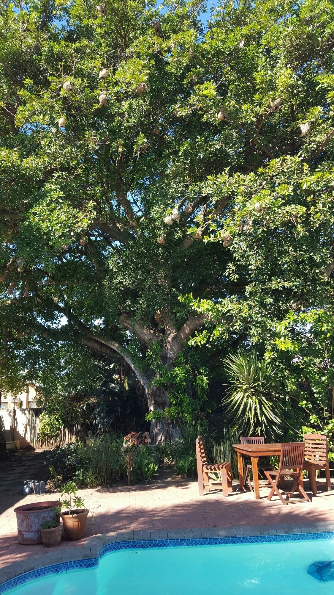 Фото Aquarius Bed & Breakfast