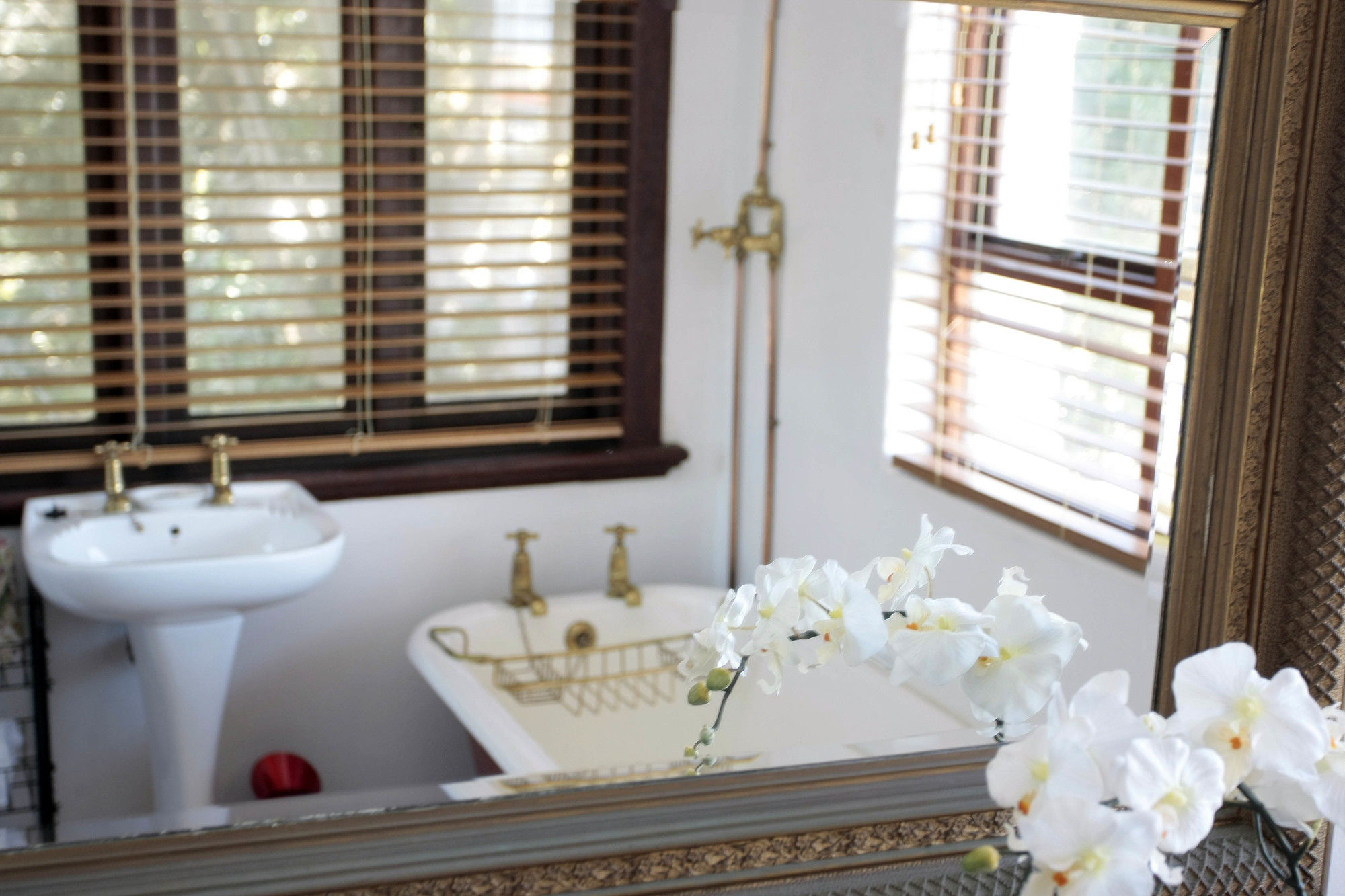 Фото Bella Ev Guest House