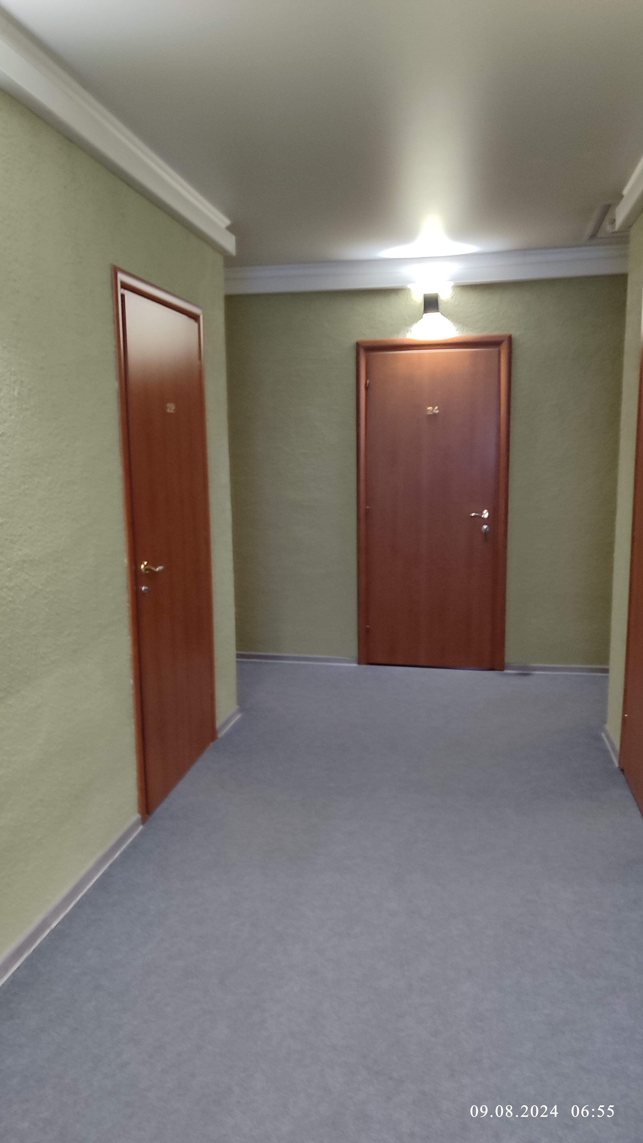 Фото Демидов