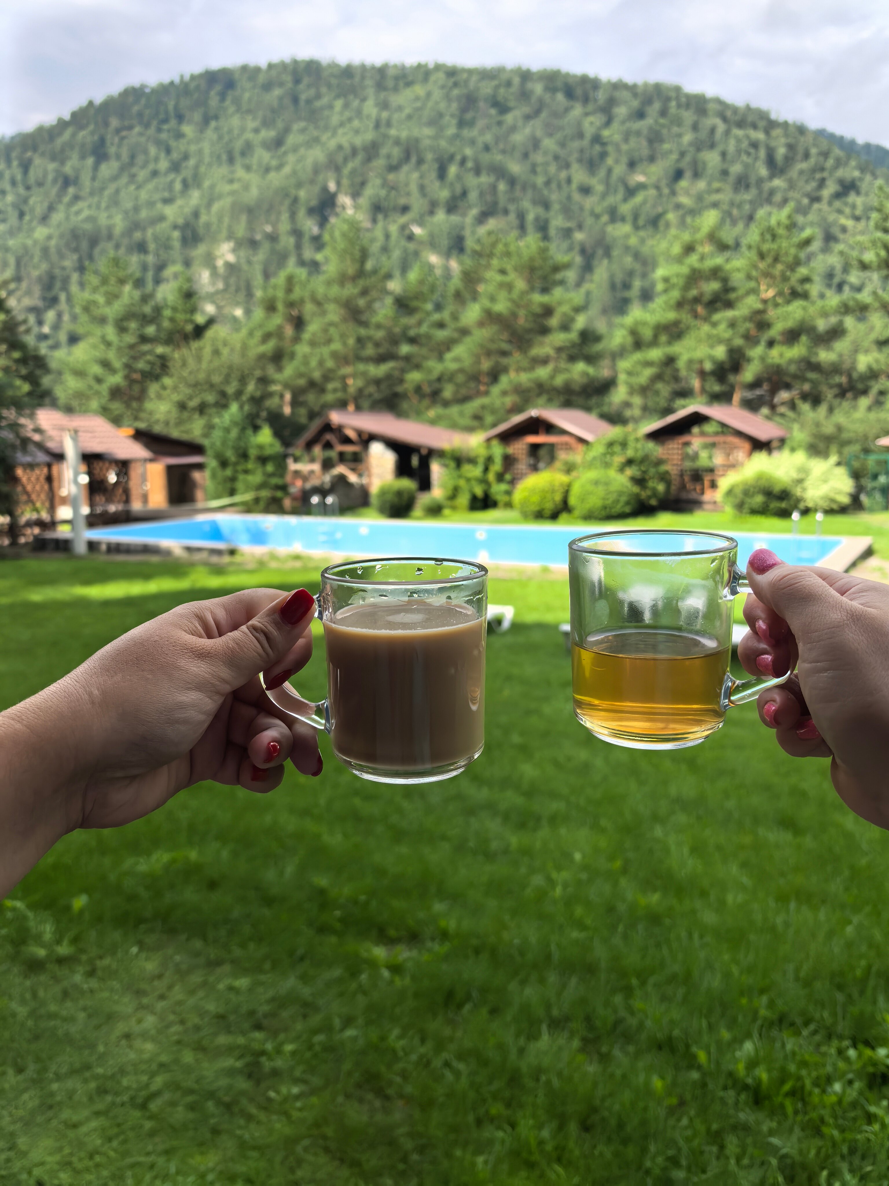 Фото Индиго