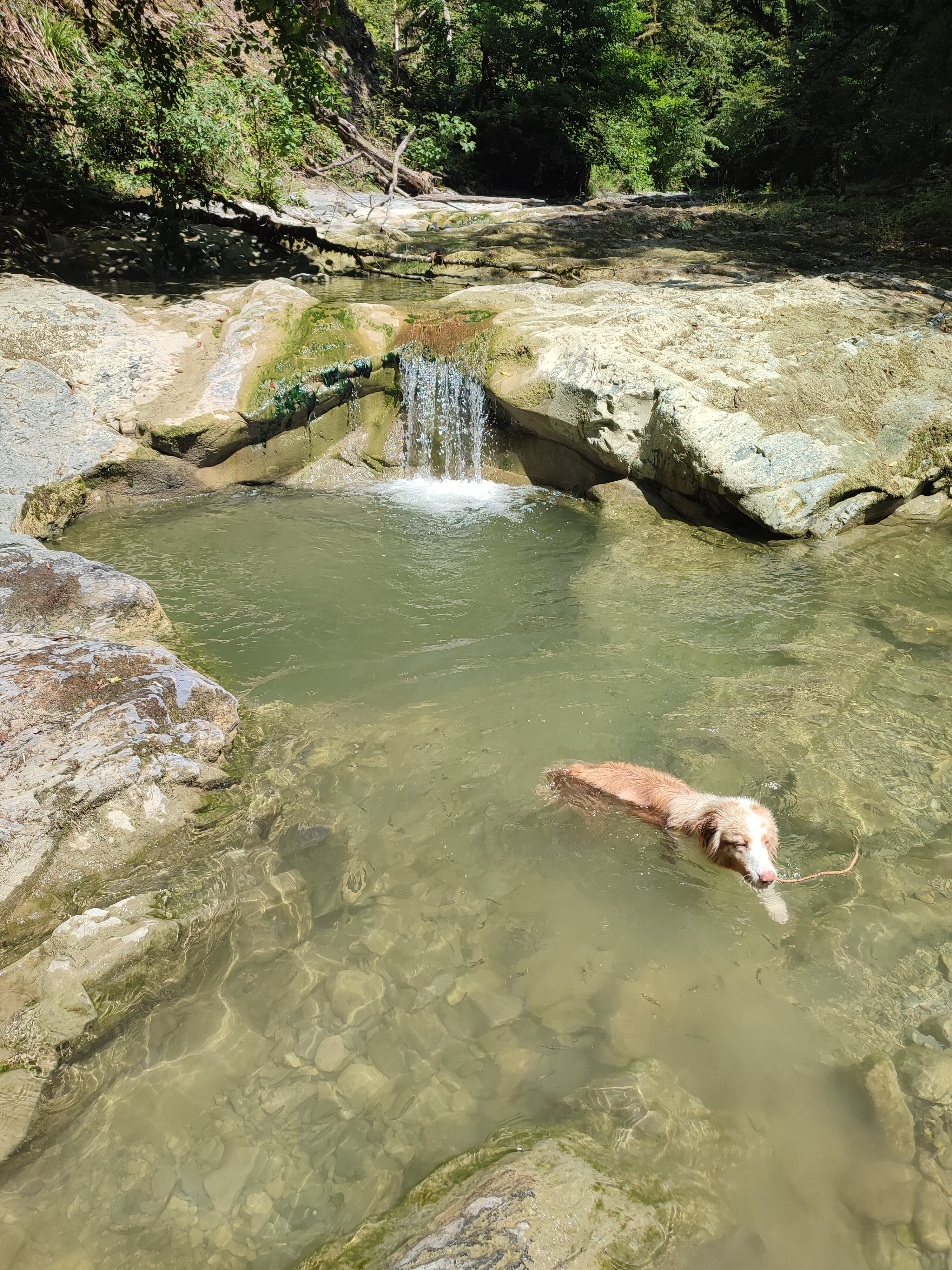 Фото Сад чудес