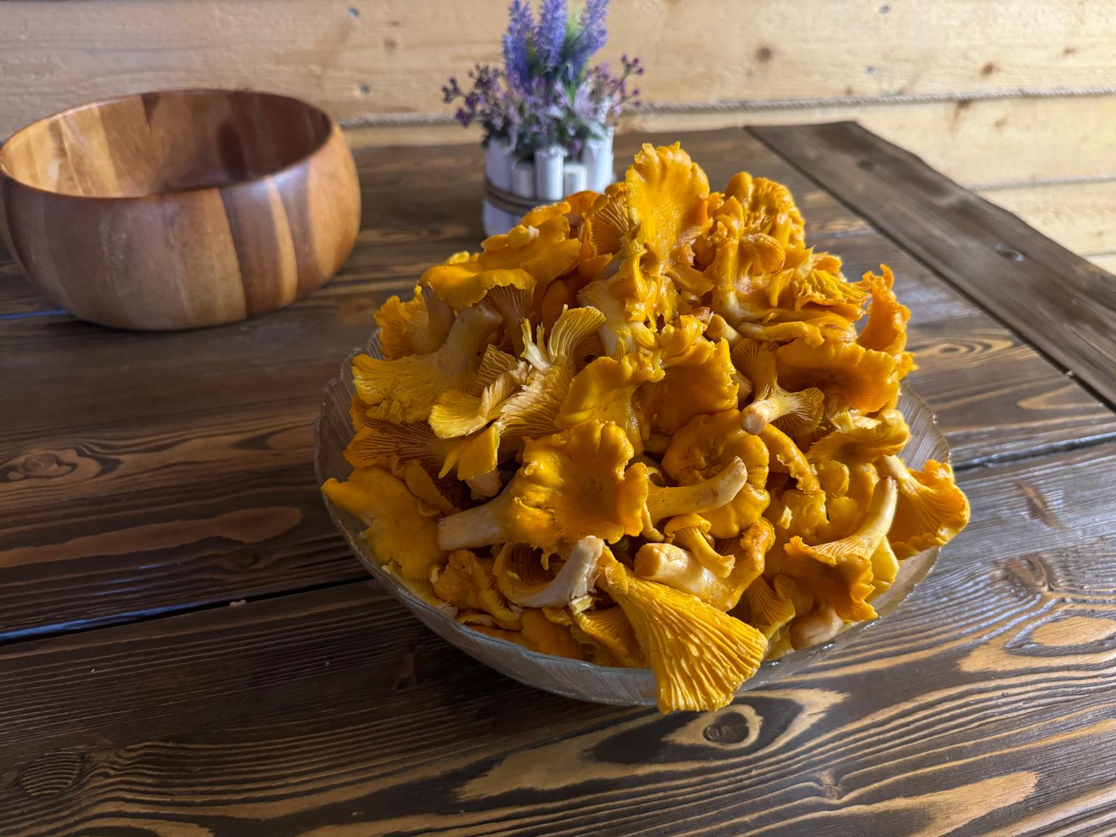 Фото Подгорой