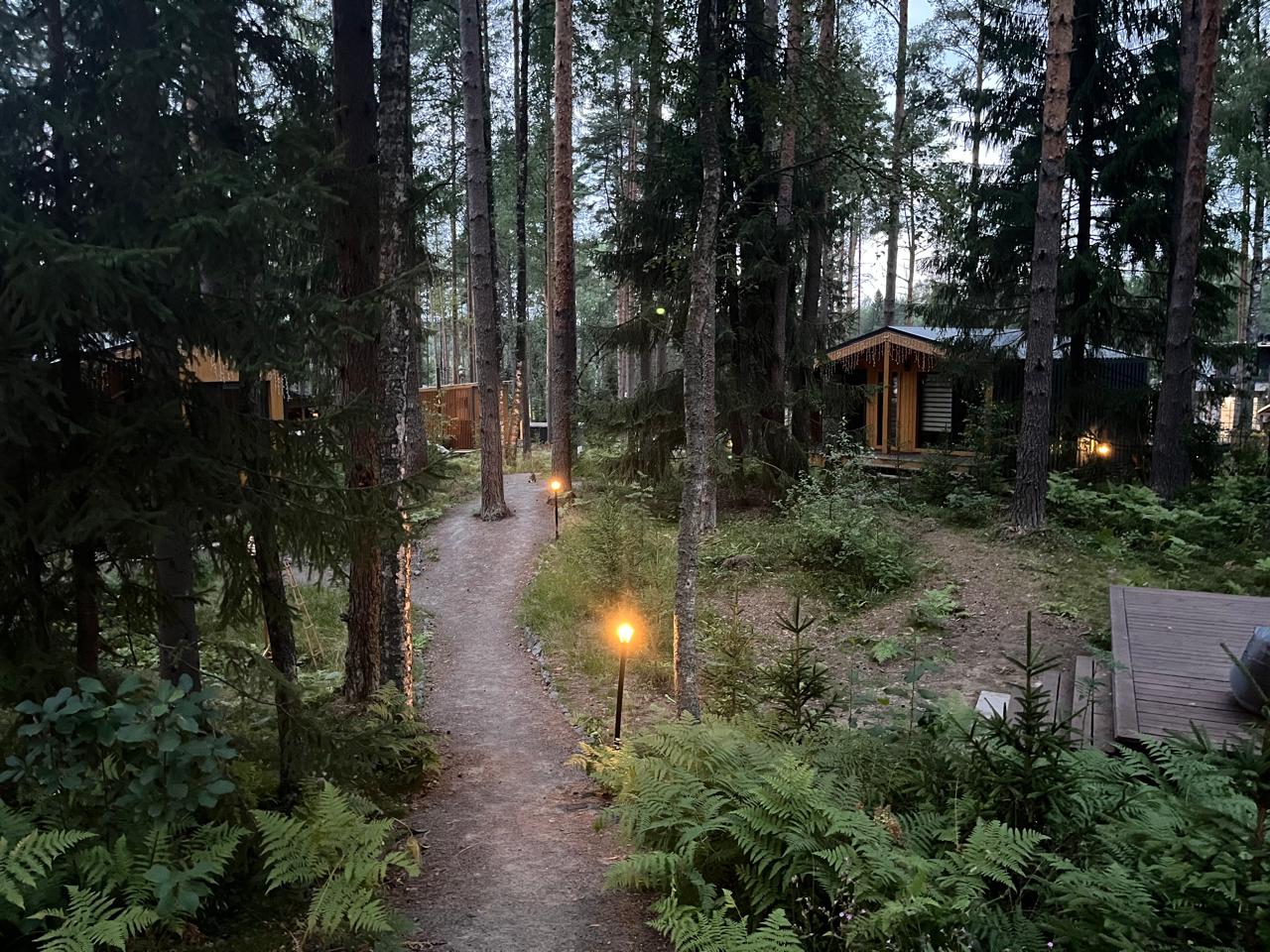 Фото Территория отдыха Лисички