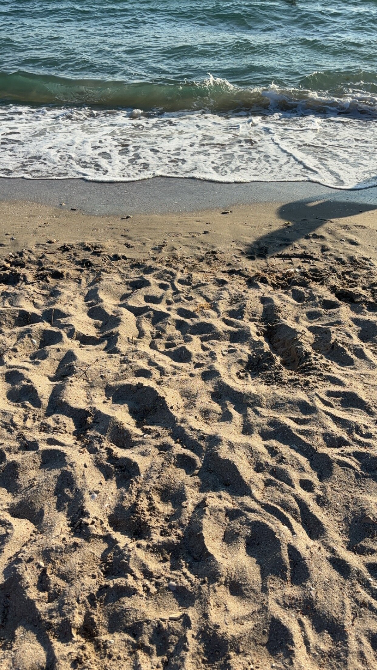 Фото LarAng House