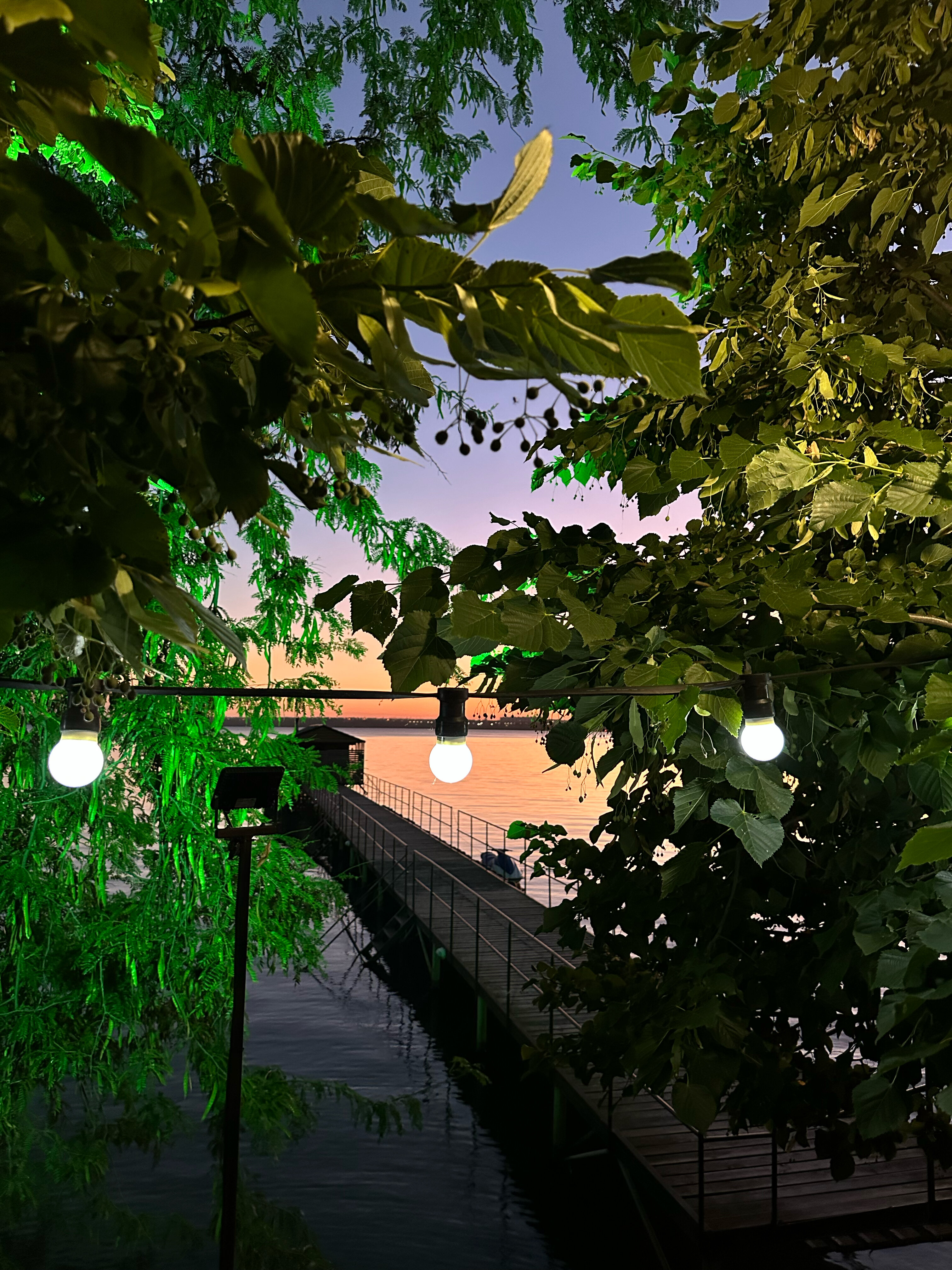 Фото Берег солнца