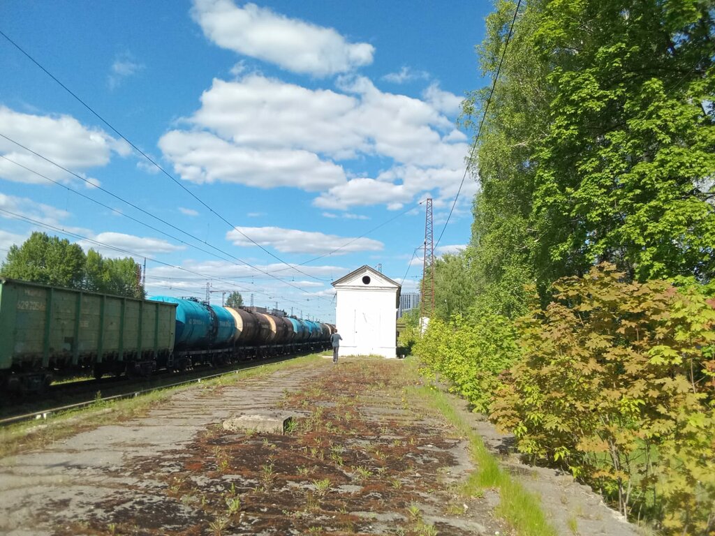 Dəmir yolu ilə yük daşımaları Yanichkino Station, , foto