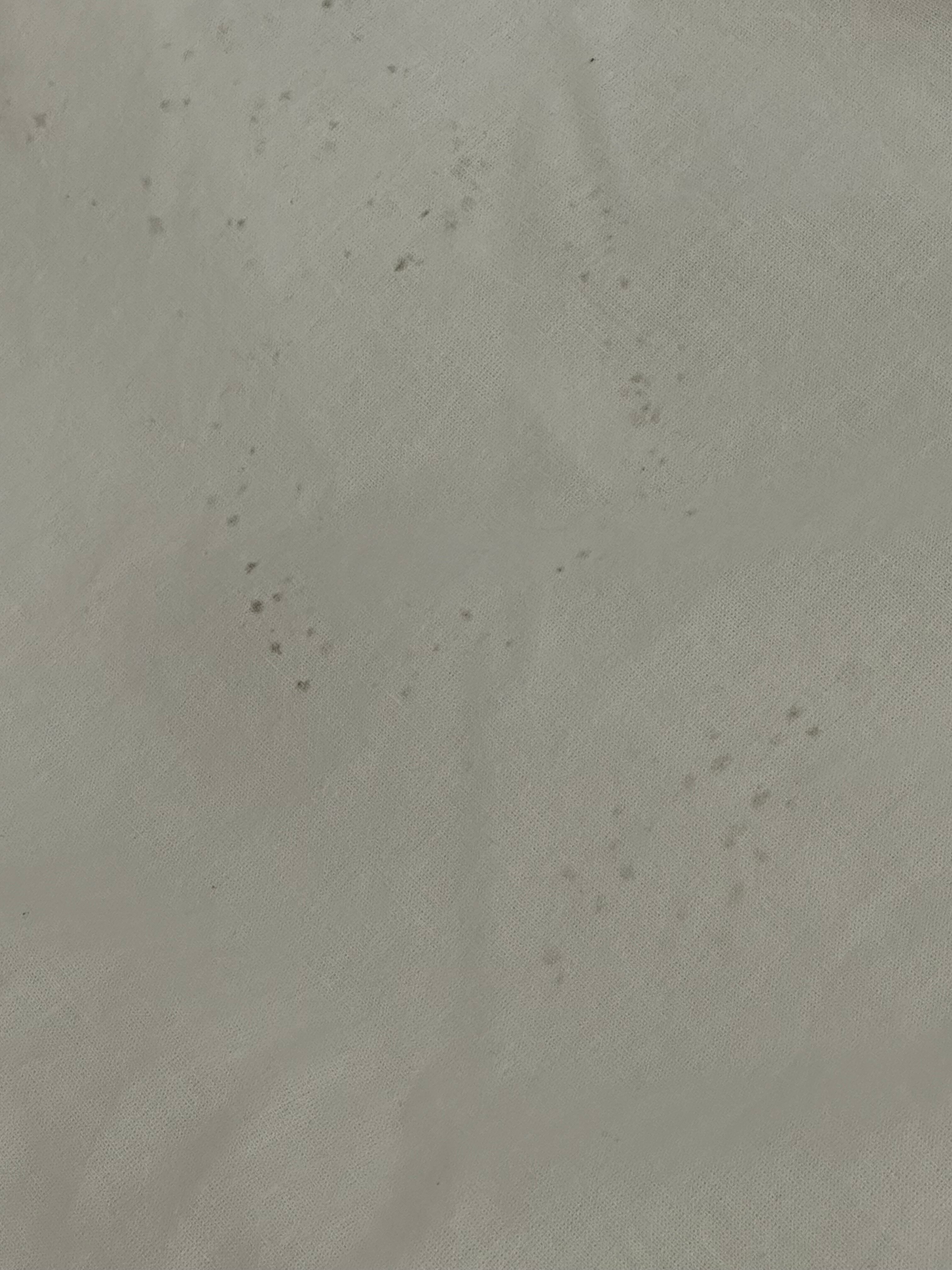 Фото Эко-отель на Петроградской стороне