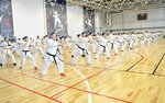 Kyokushinkay Sports Federation (Kanavinskiy City District, Mescherskoye Ozero Microdistrict, Mescherskiy Boulevard, 7к2) ، نادي رياضي، مجموعة