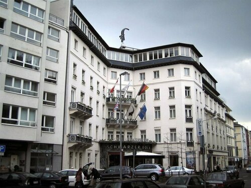 Внешний вид отеля Radisson Blu Schwarzer Bock Hotel в Висбадене, фото 3