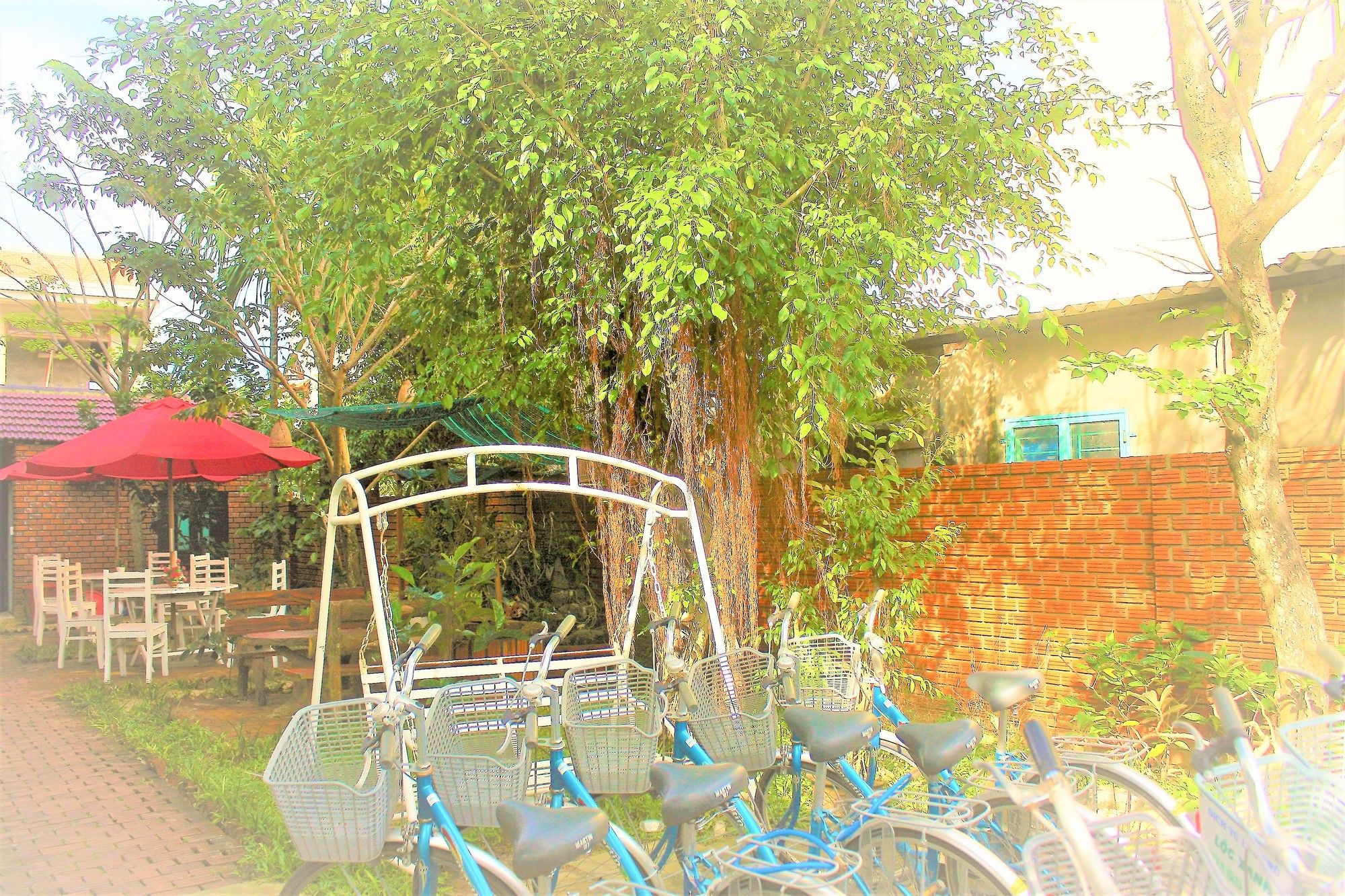 Фото Green Bud Homestay