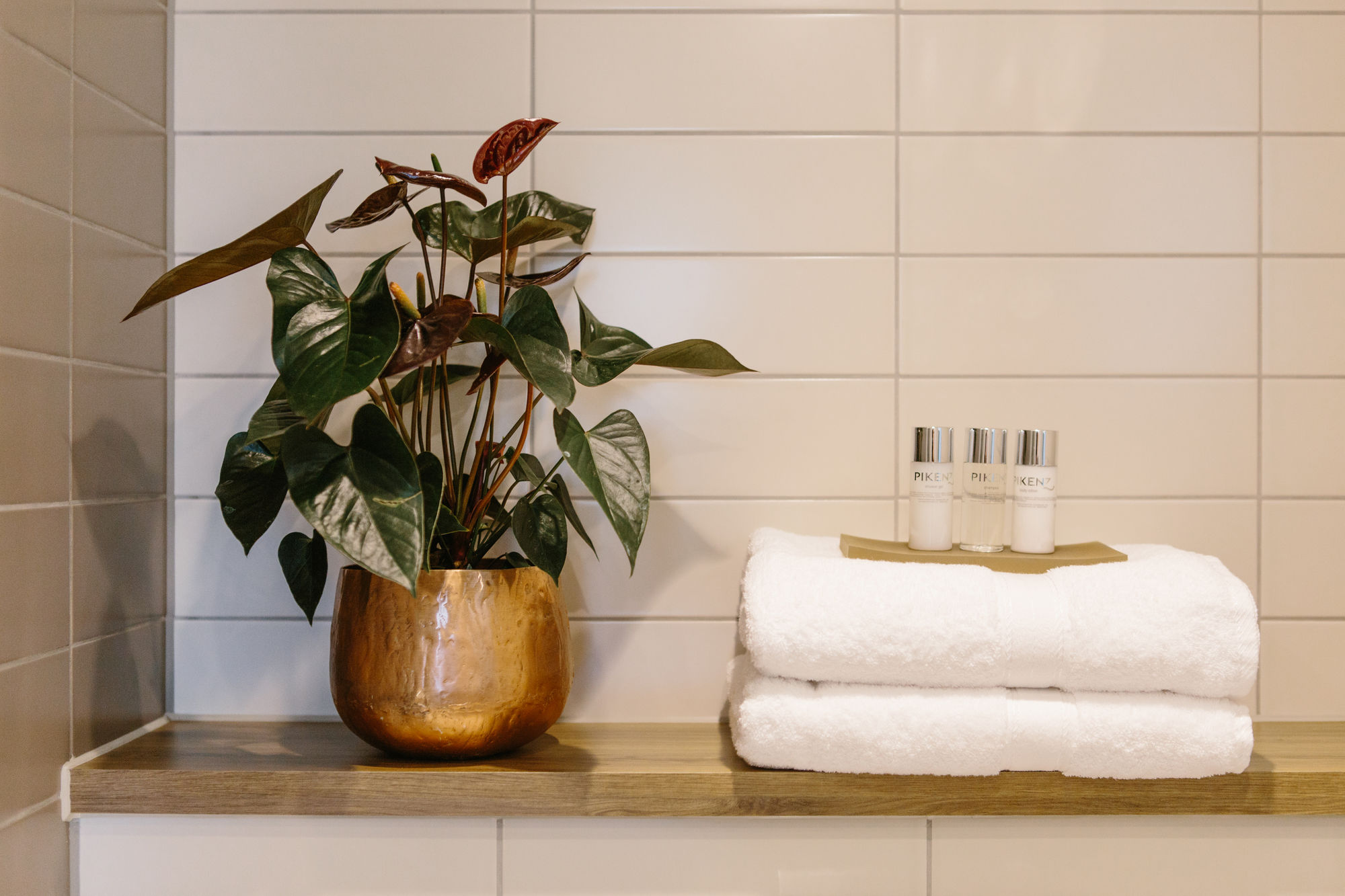 Фото Hotel Chester Heidelberg