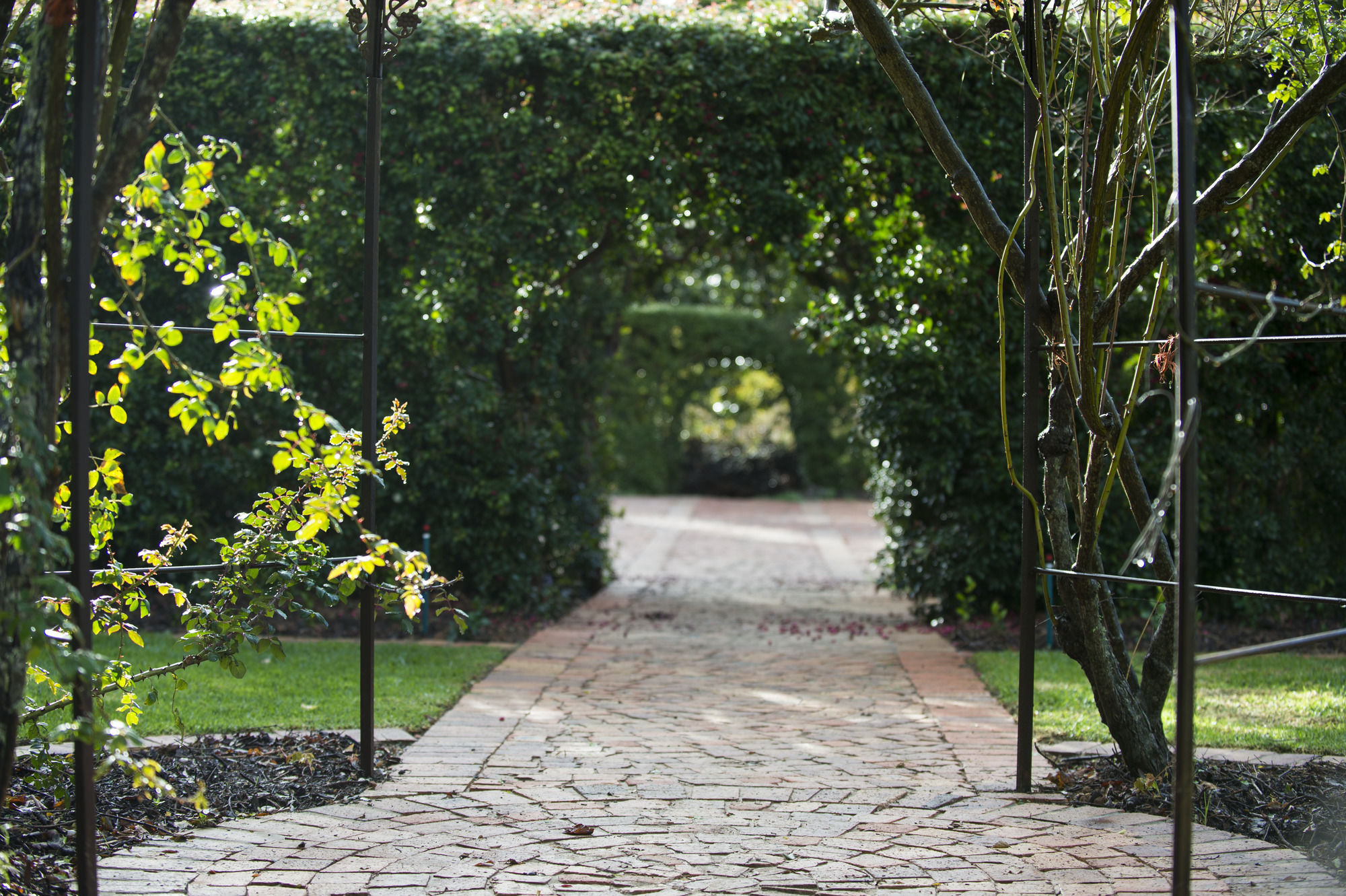 Фото Weltevreden Estate