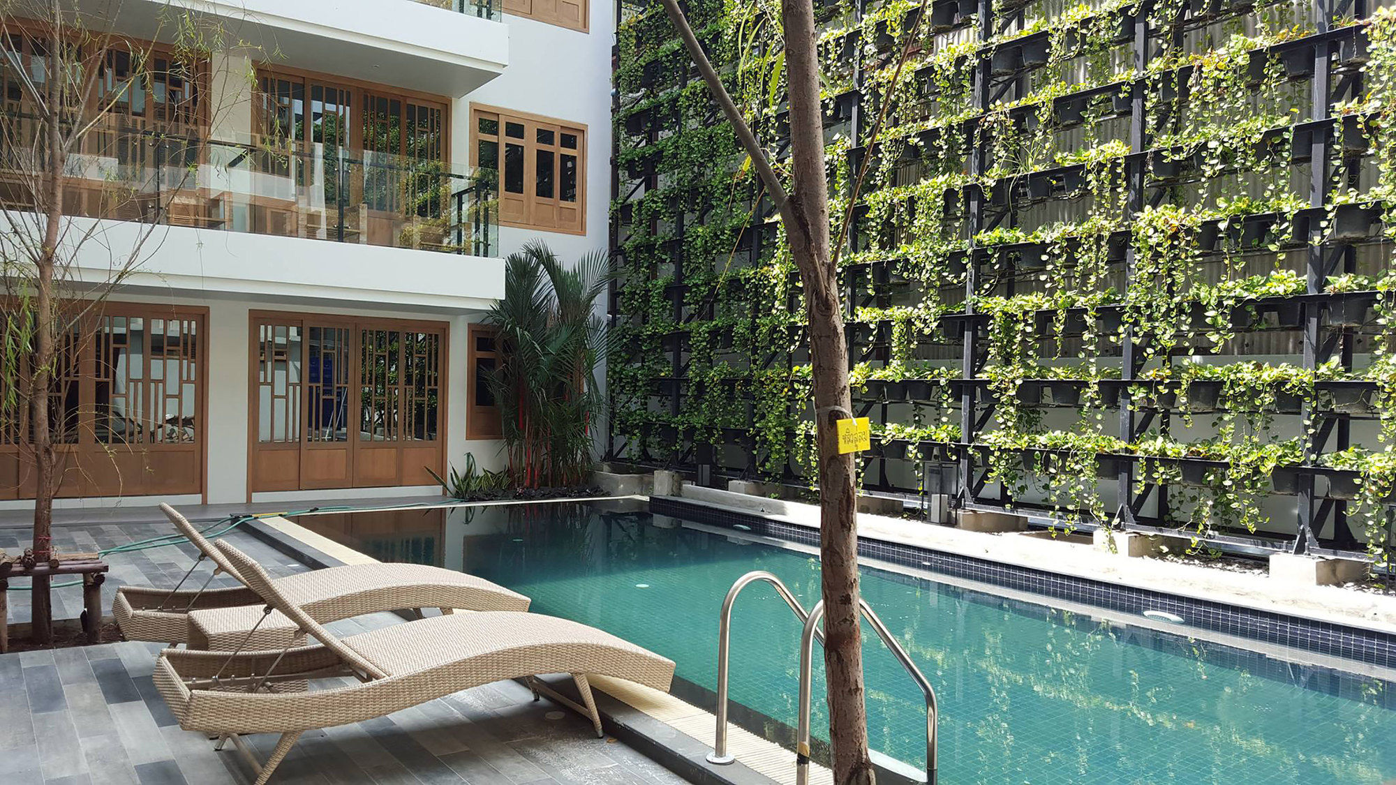 Фото Moon Dragon Hotel