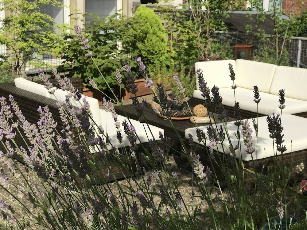 Фото Hotel Cascade