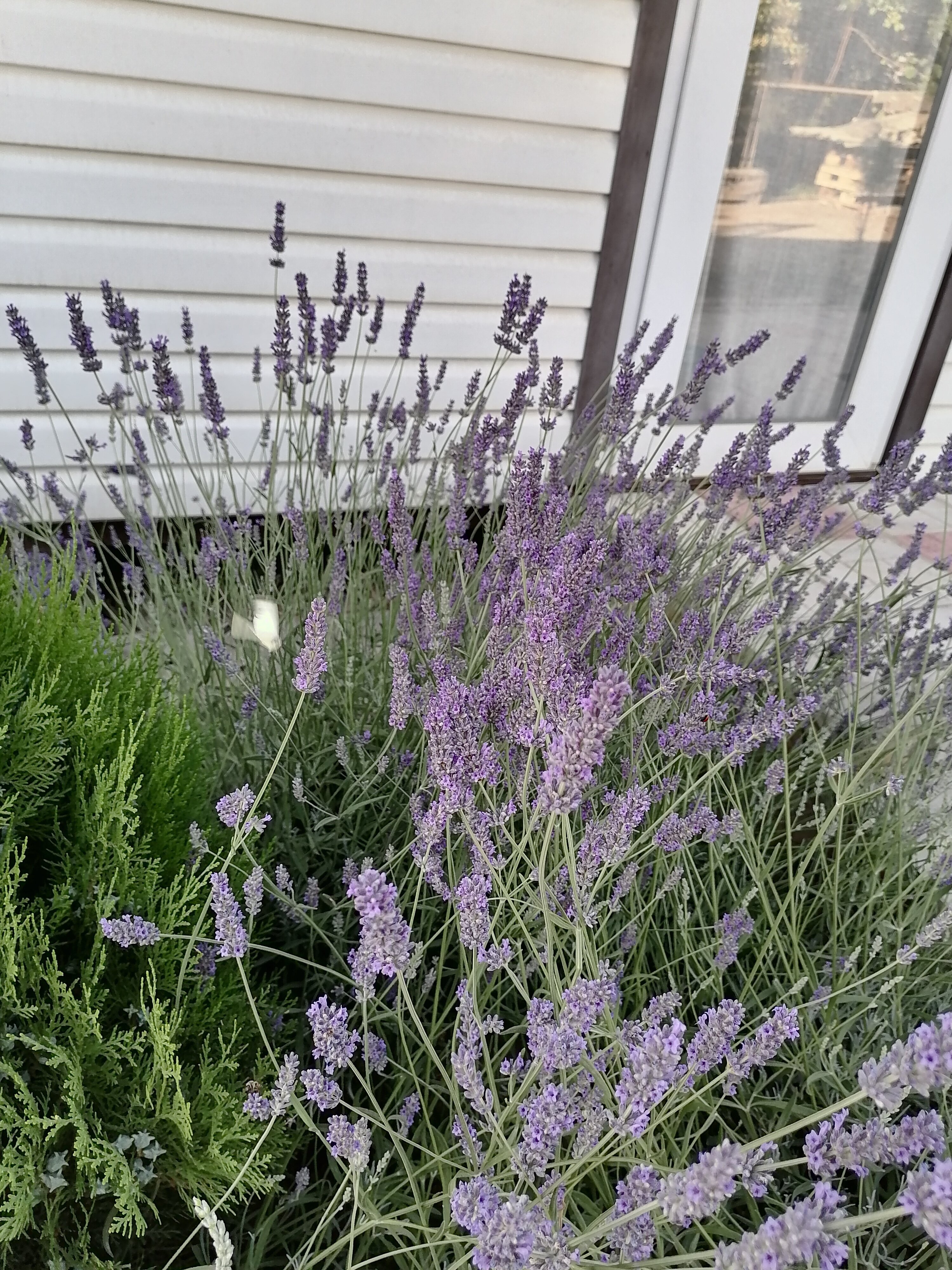 Фото На заливе