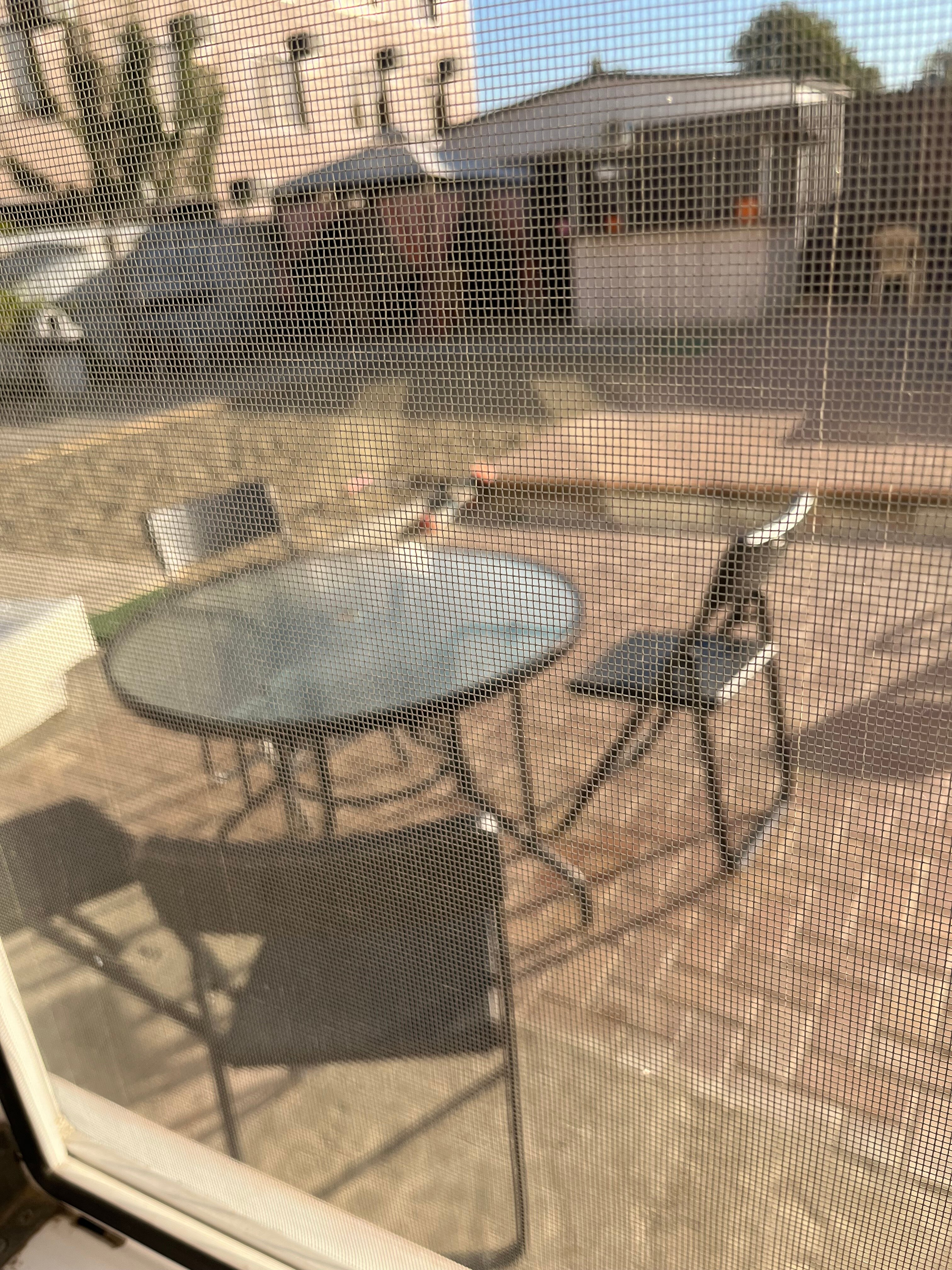 Фото Талисман Джемете