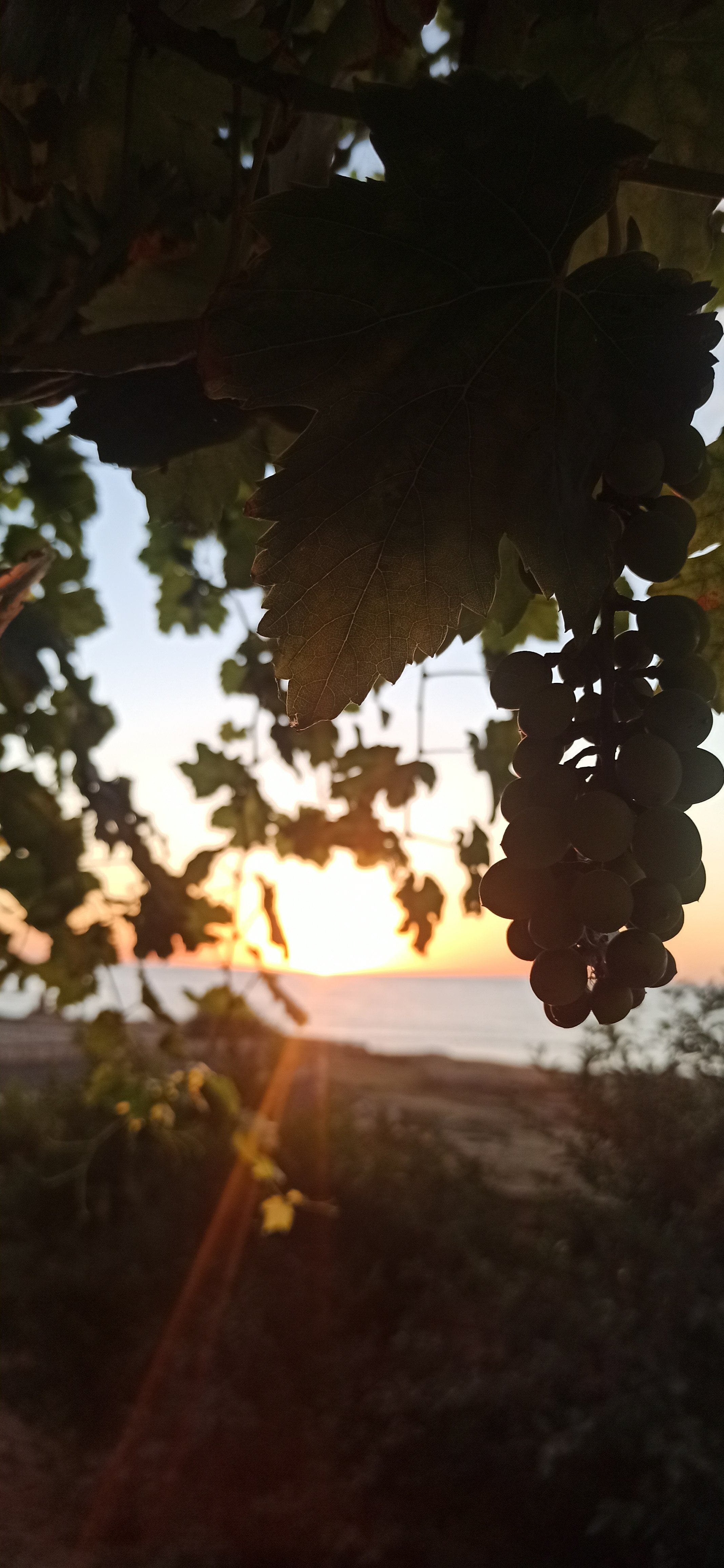 Фото Тихая гавань на косе