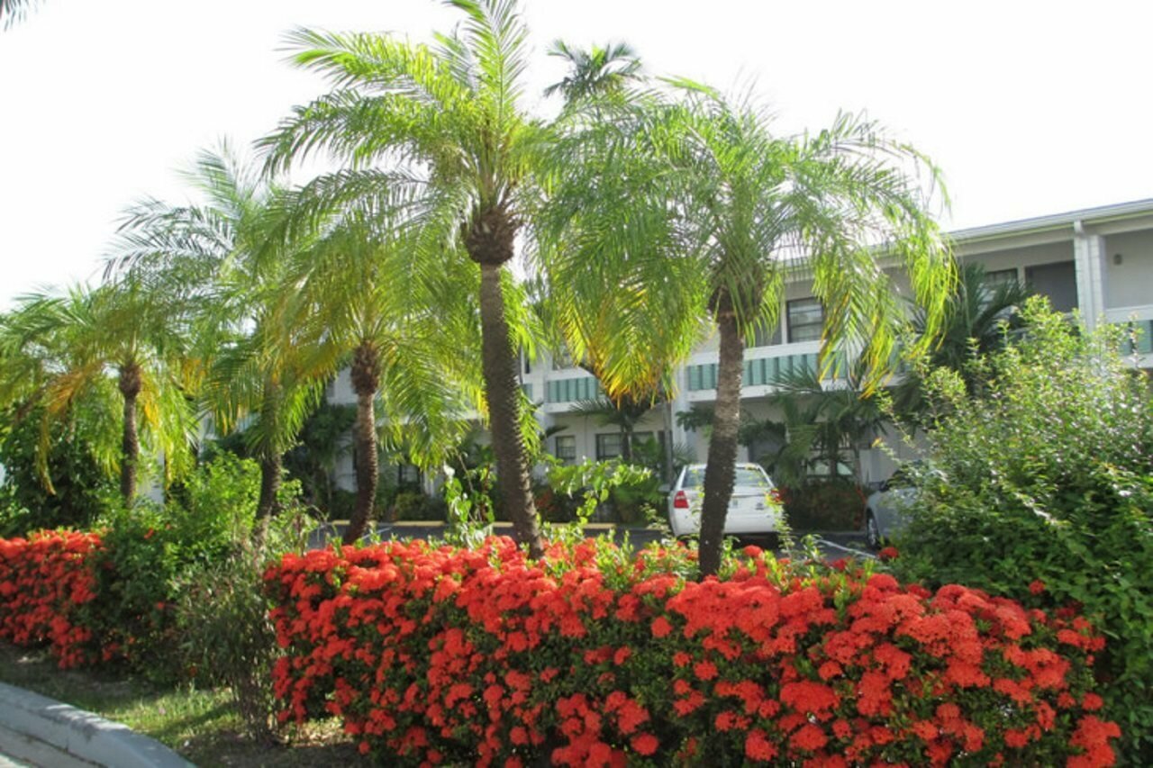 Фото Shalimar Motel