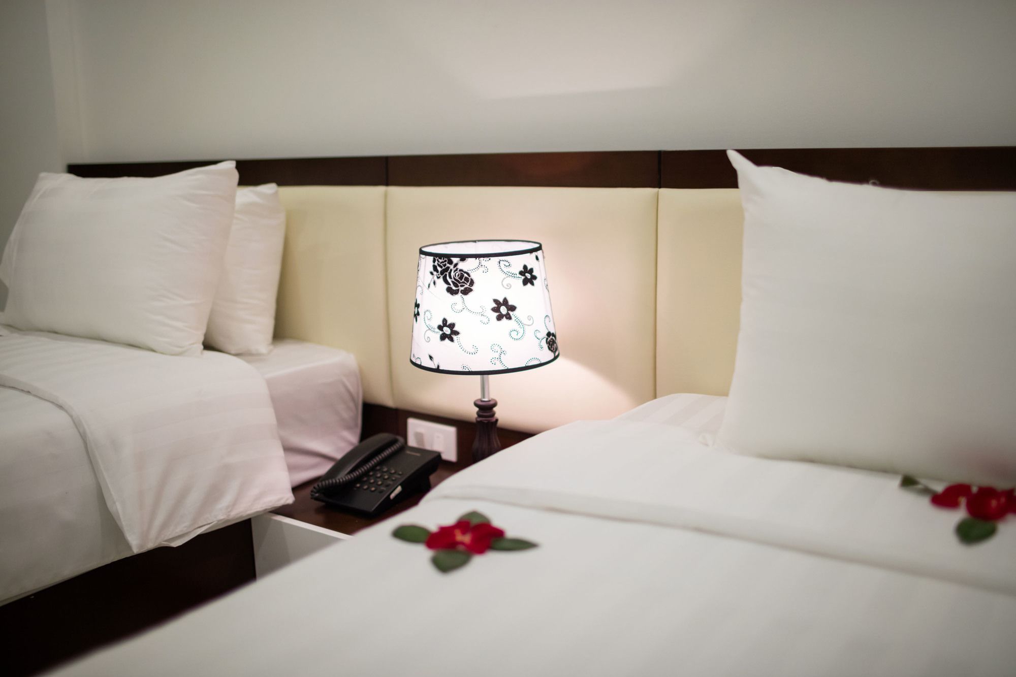 Фото New Vision Palace Hotel