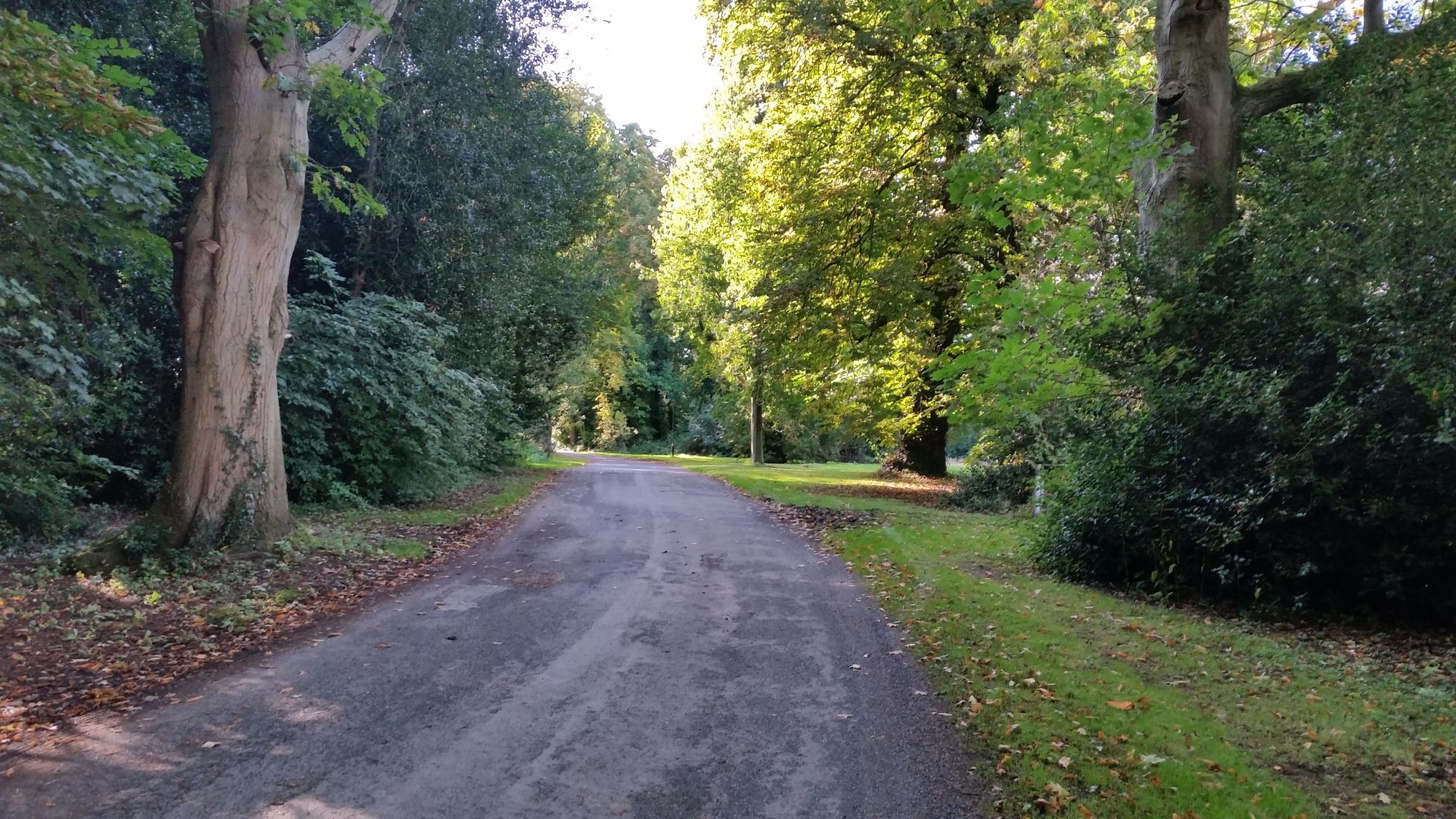 Фото Haughton Hall