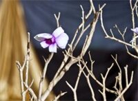 Фото Delta Hotels by Marriott Guelph Conference Centre