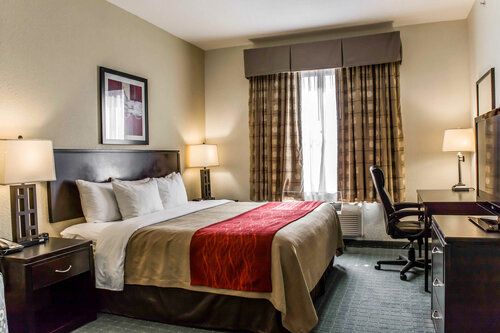 Гостиница Comfort Inn & Suites Northeast - Gateway в Сент-Питерсберге