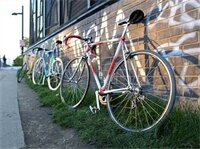 Фото Primrose Guest House