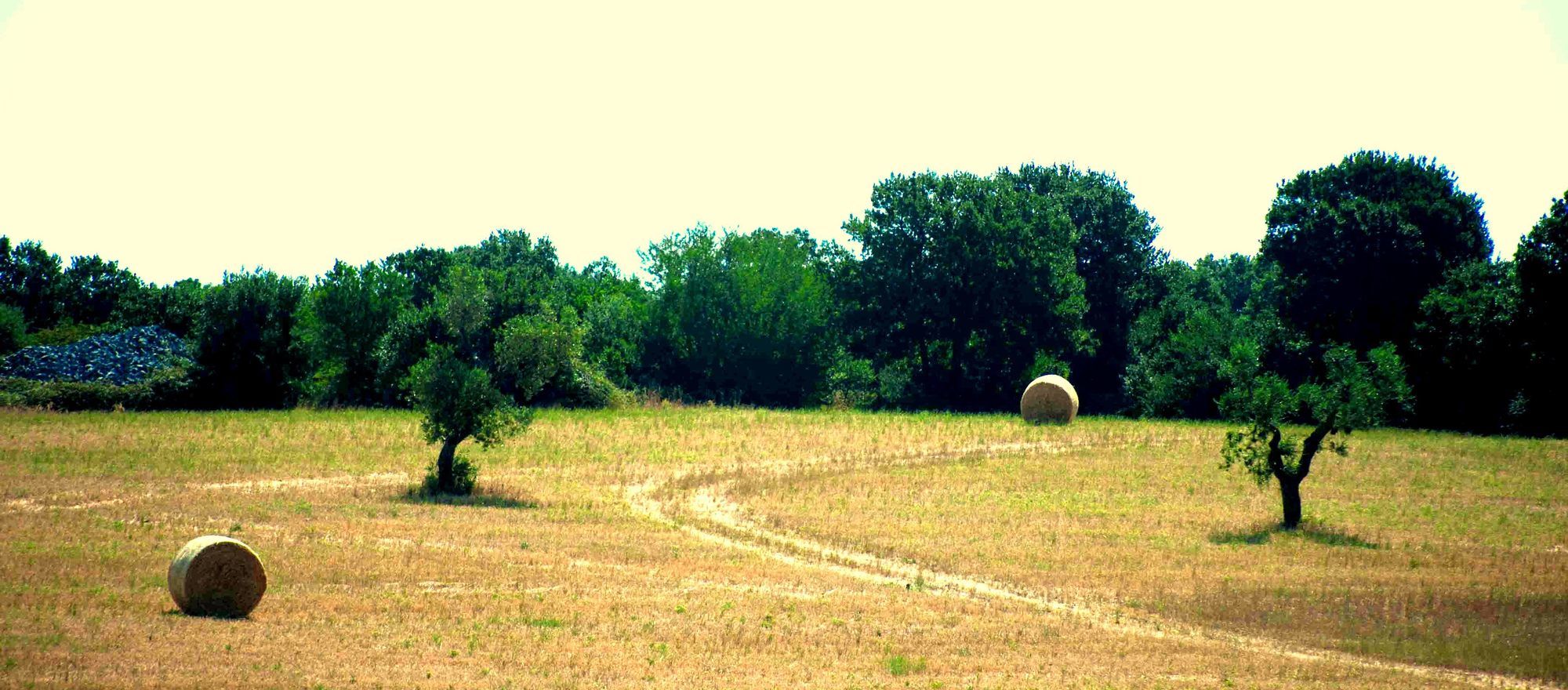 Фото Victor Country Hotel