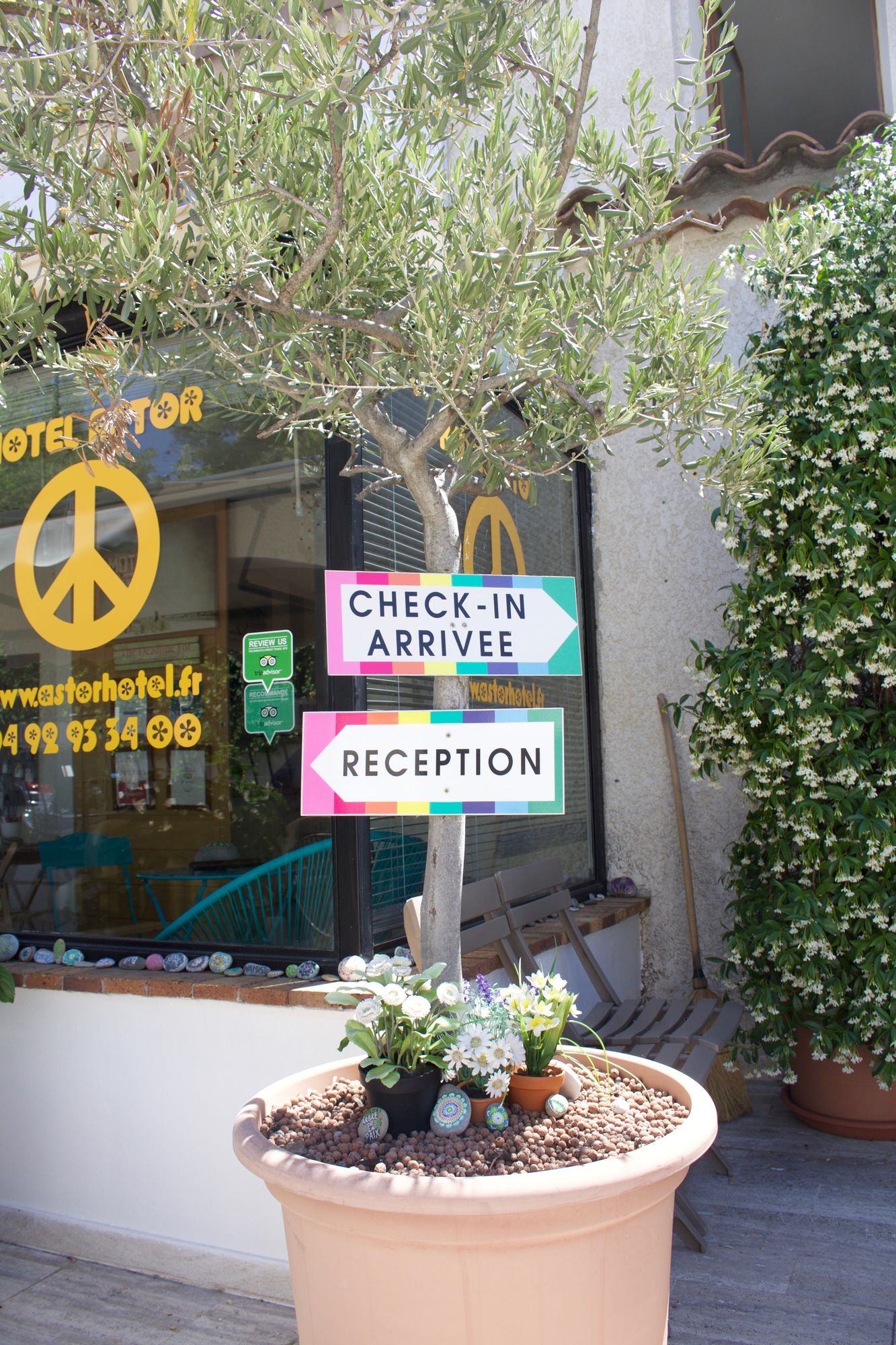 Фото Hotel & Studios Astor