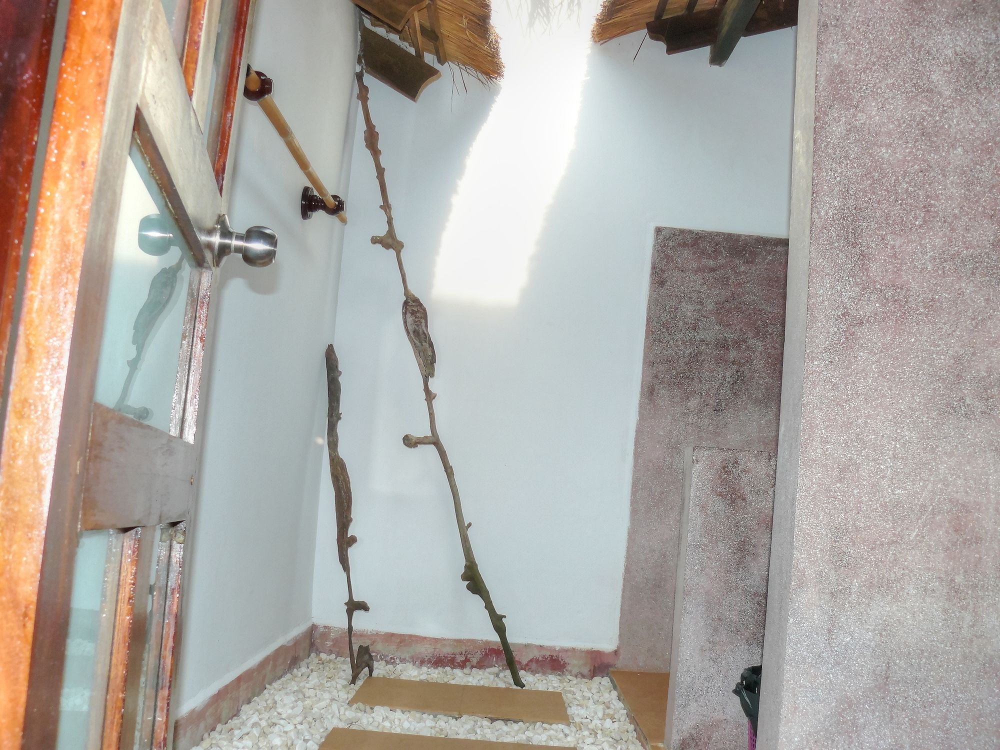 Фото Mealea Resort