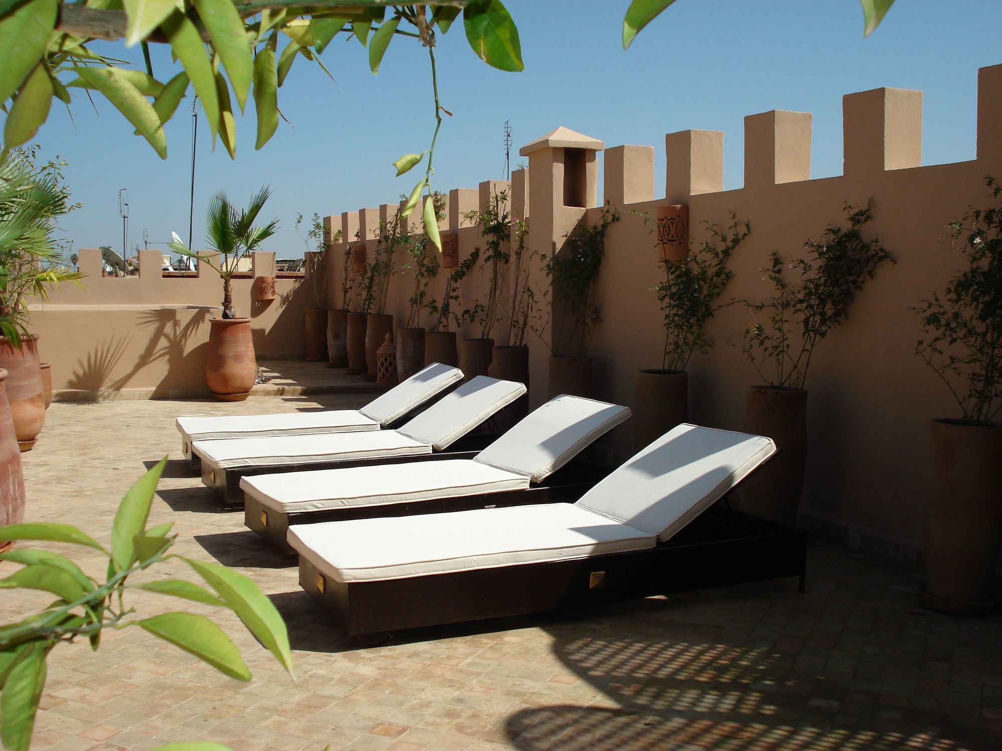 Фото Riad Pachavana