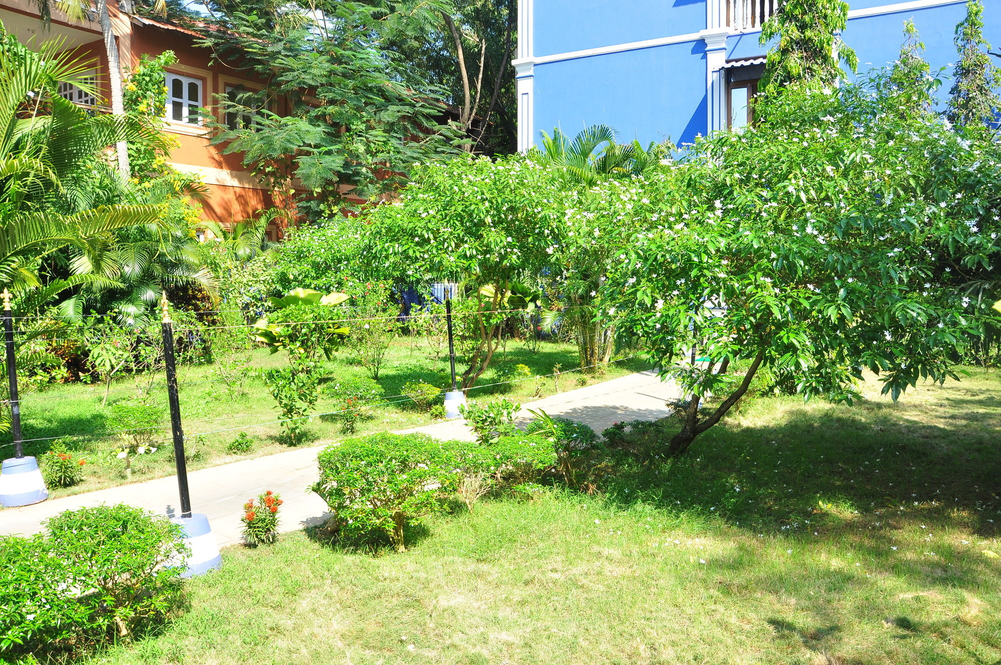 Фото Mayflower Beach Resort