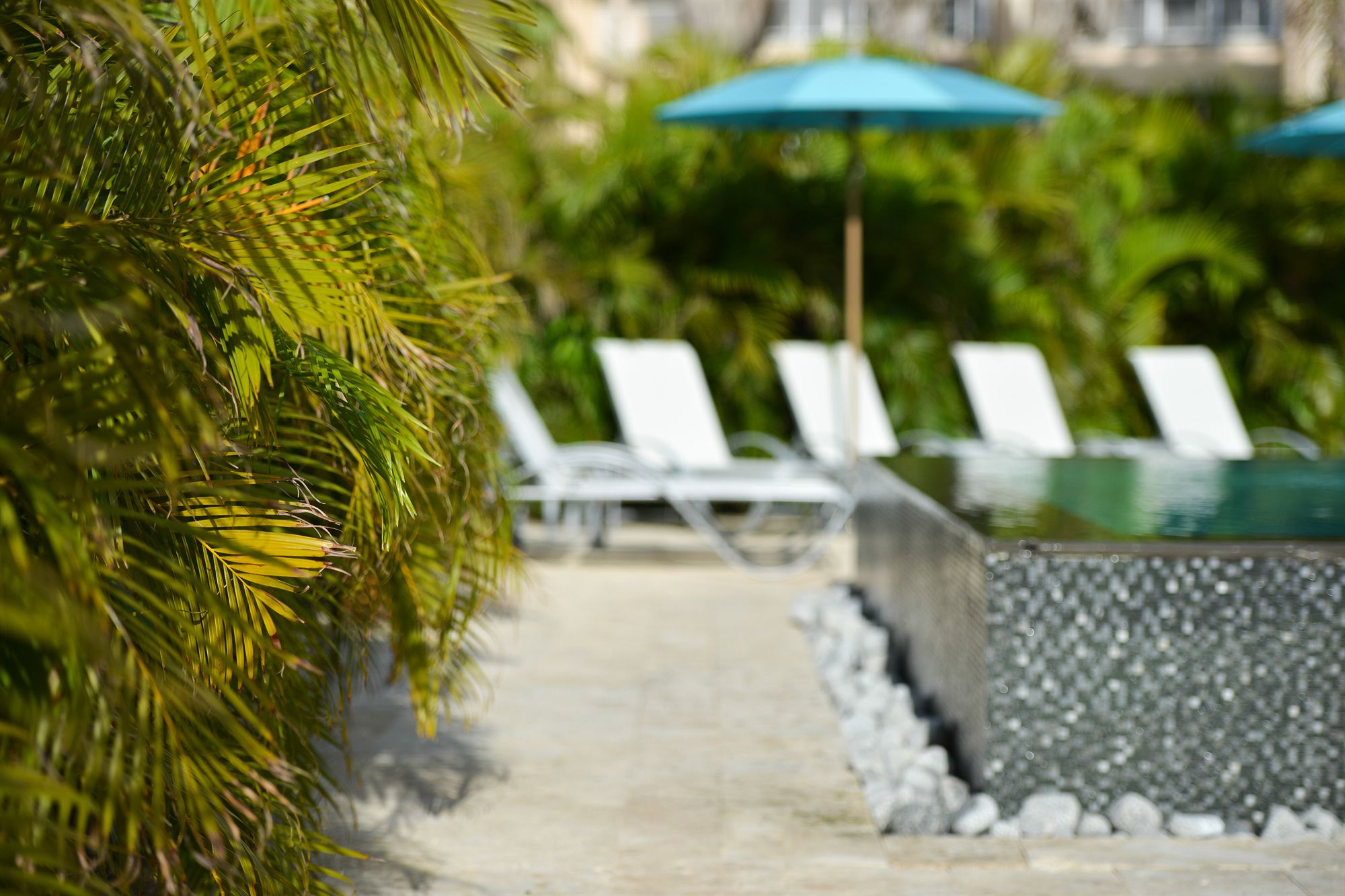 Фото The Beach House Curacao