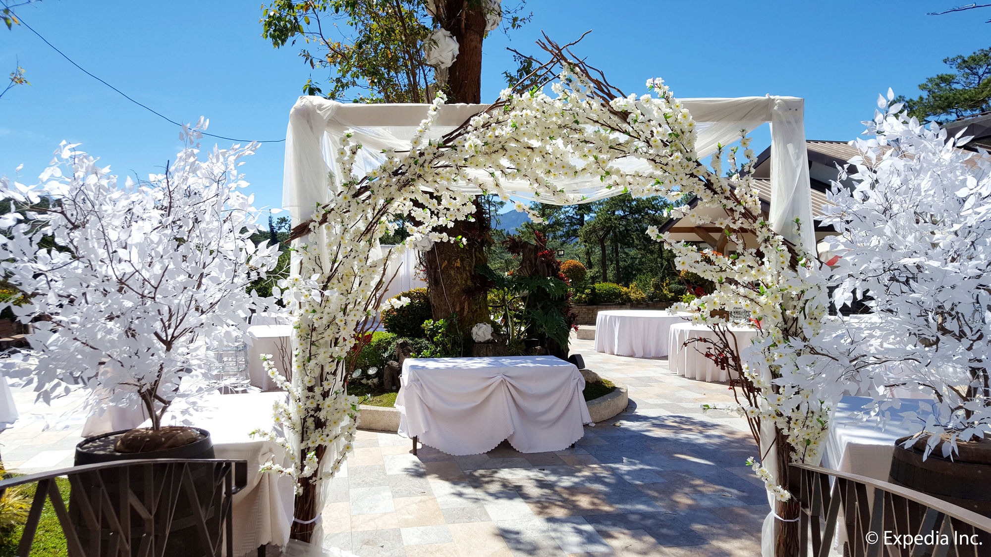 Фото Newtown Plaza Hotel