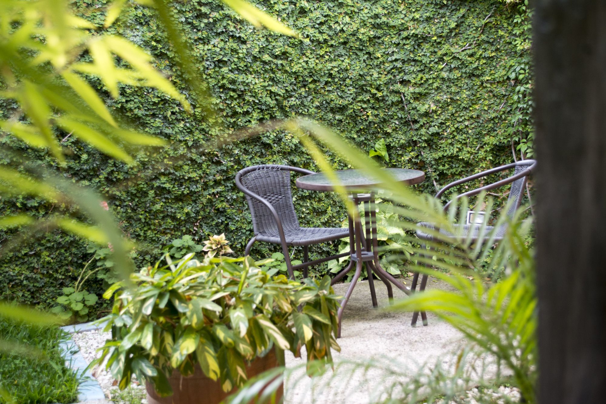 Фото Hotel Casa Bella