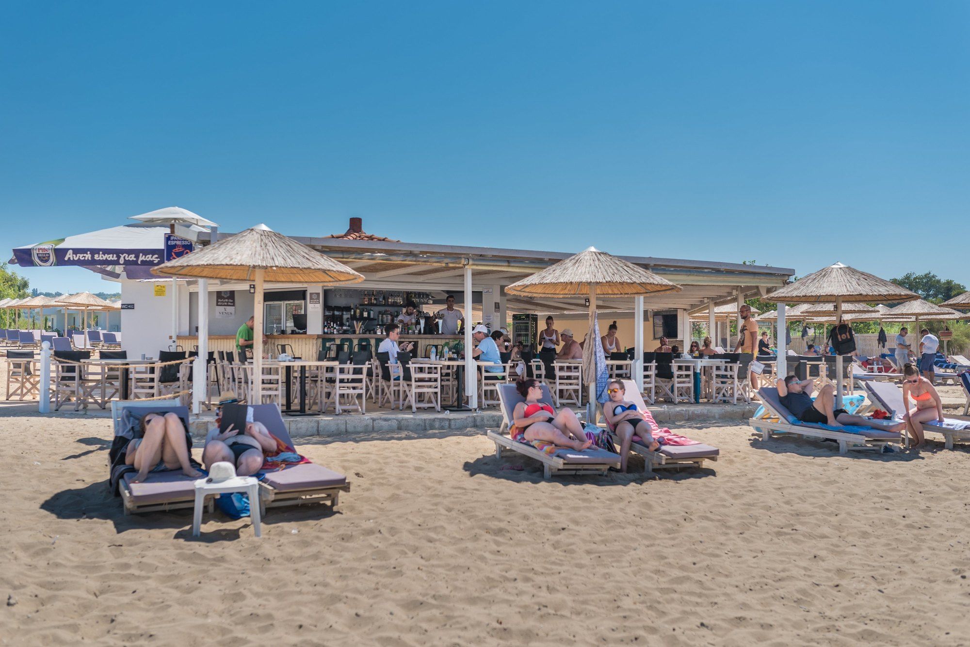 Фото Venus Resort