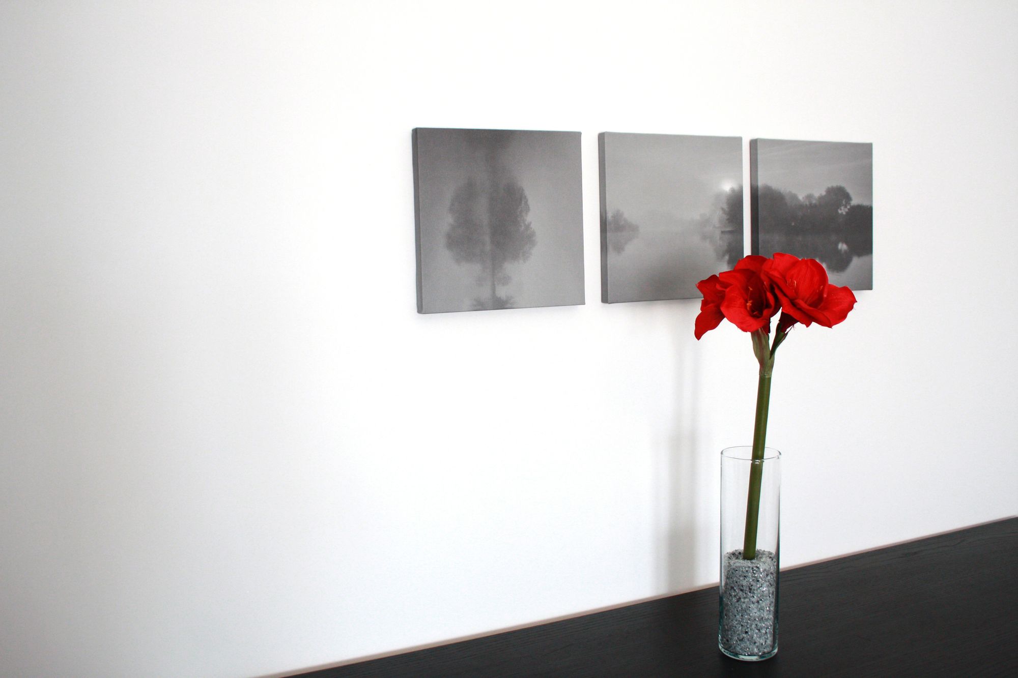 Фото Cantalupa Accommodation