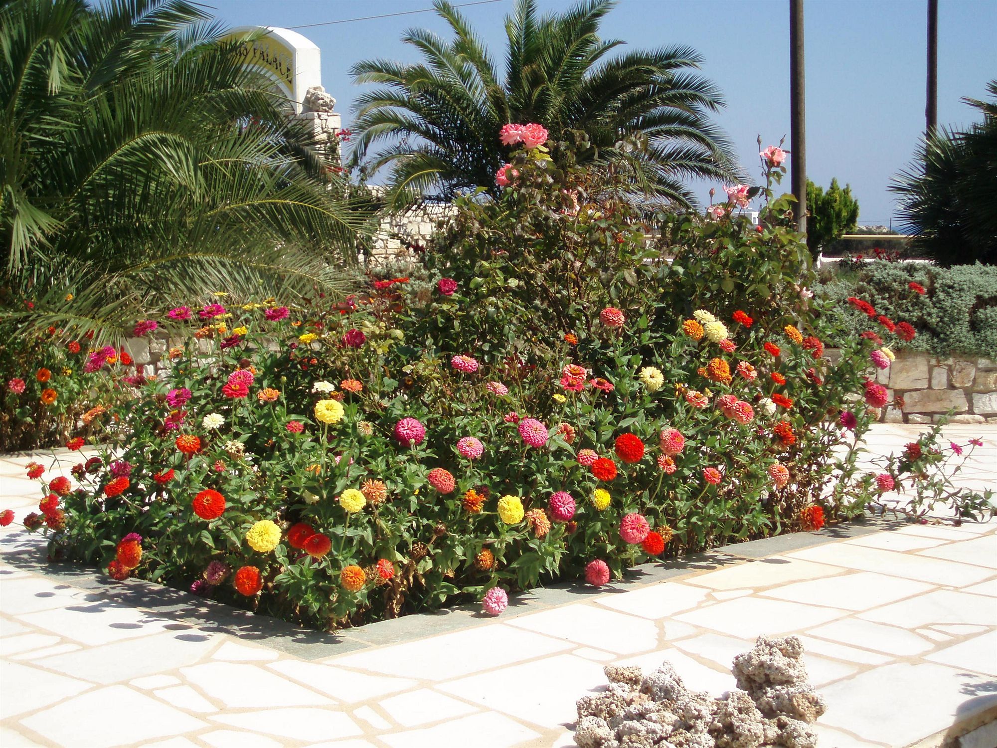 Фото Fyrogenis Palace Hotel - Apartments