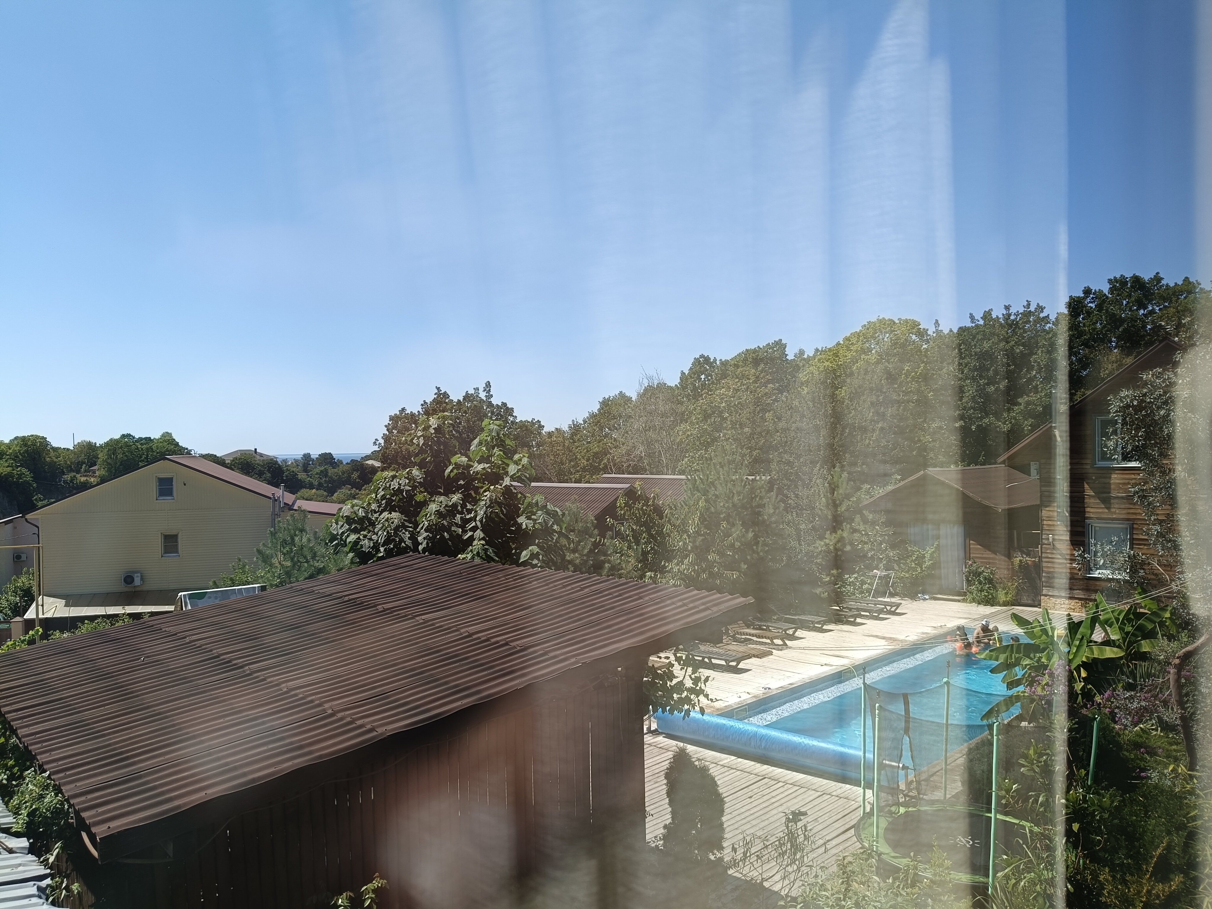 Фото Лесная поляна