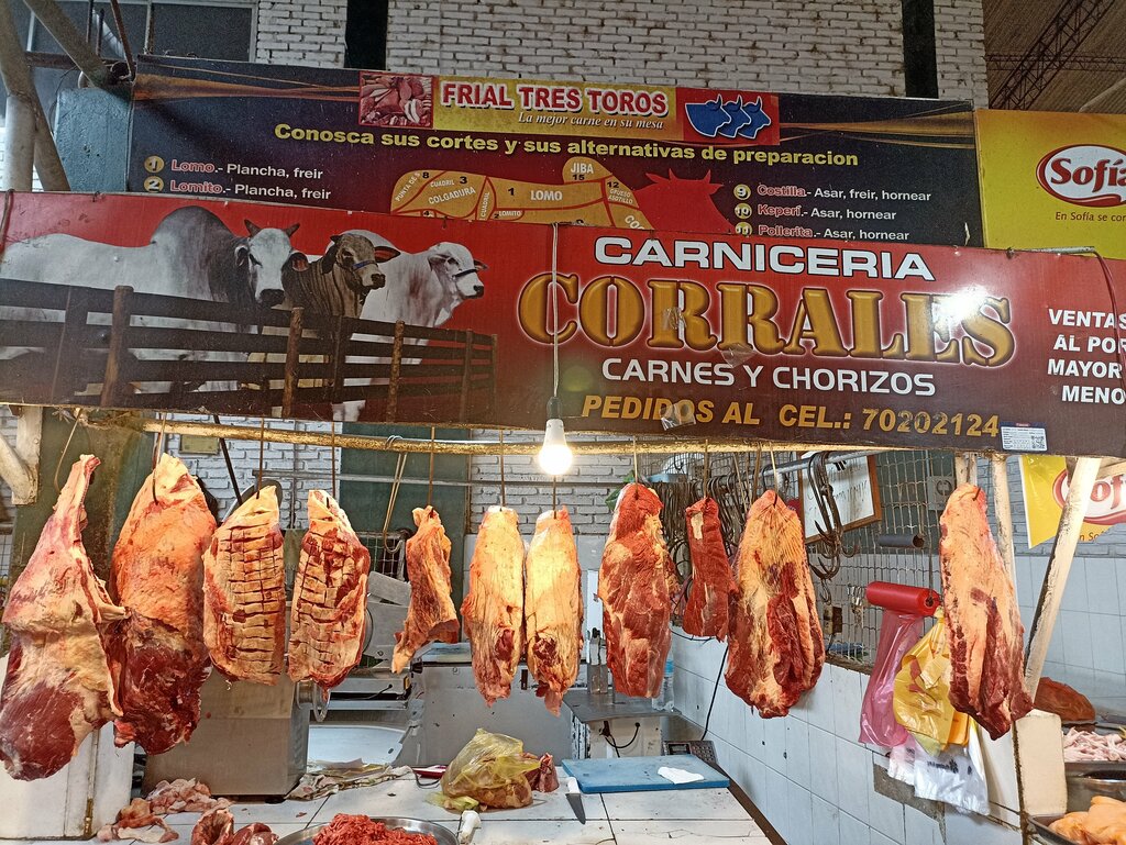 Egg and poultry meat Carniceria Corrales, Santa Cruz de la Sierra, photo