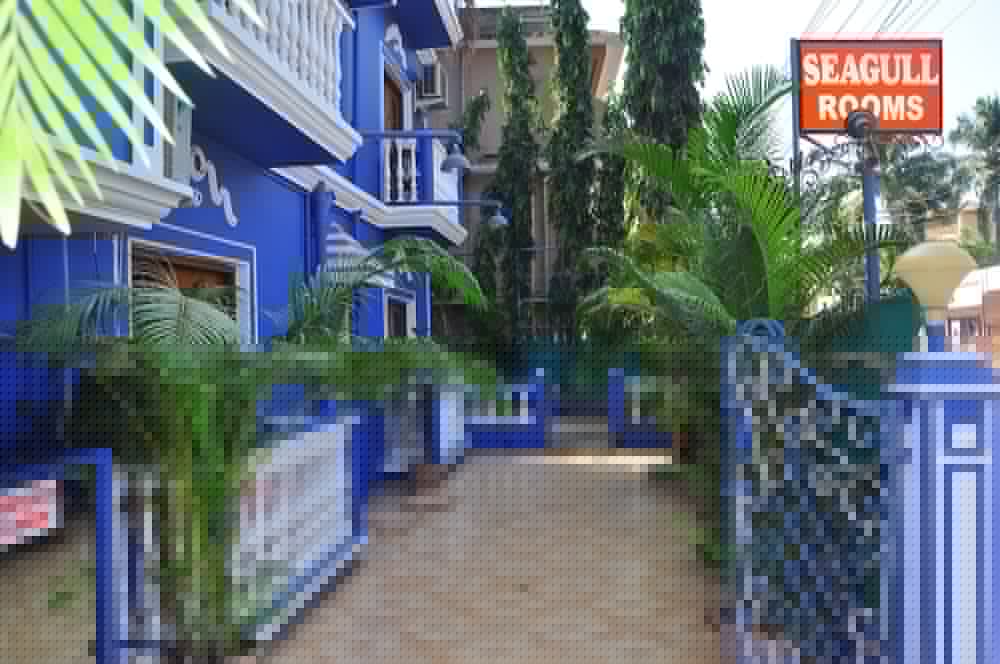 Фото Hotel Seagull